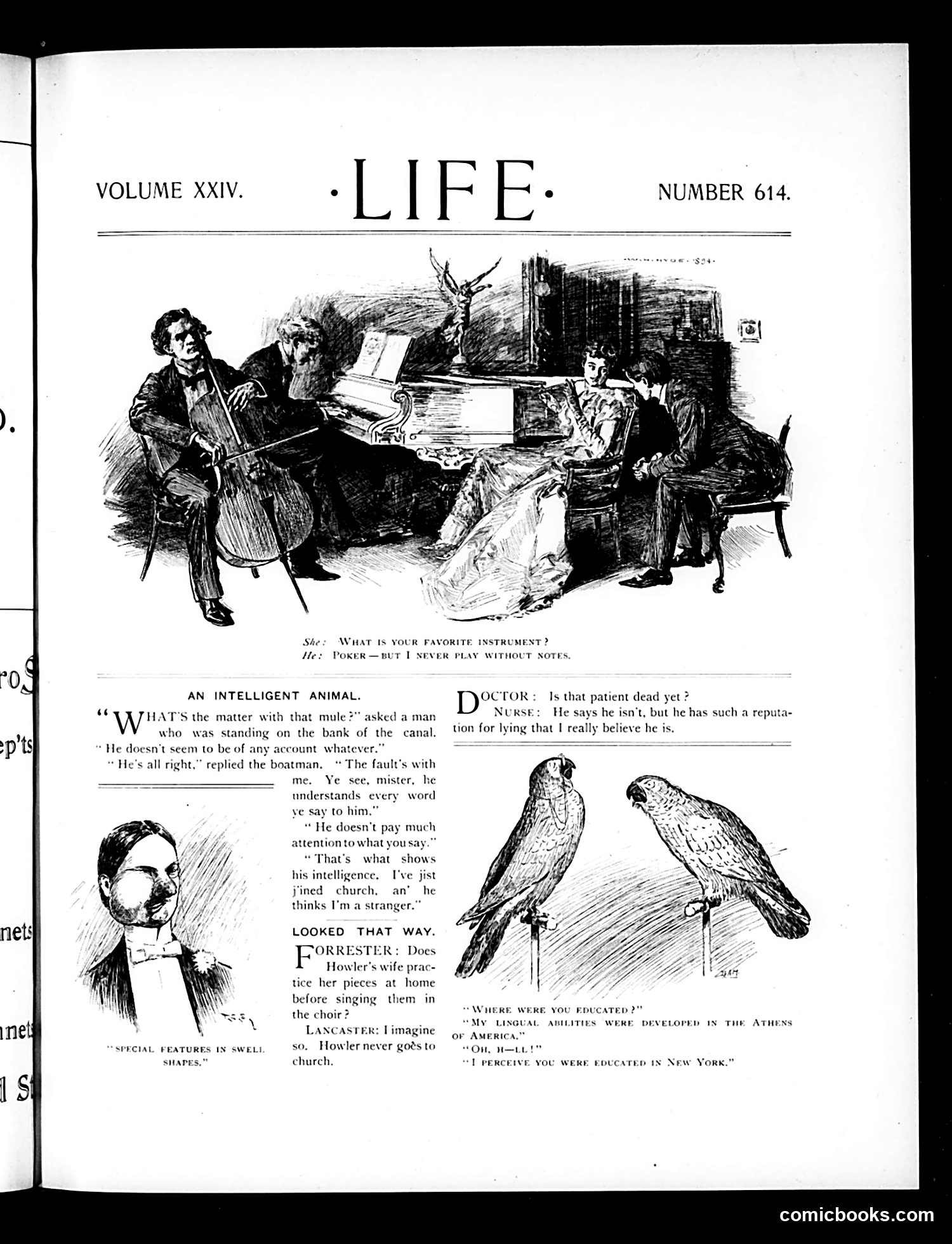 Life — October 4, 1894 — page 3 of 18