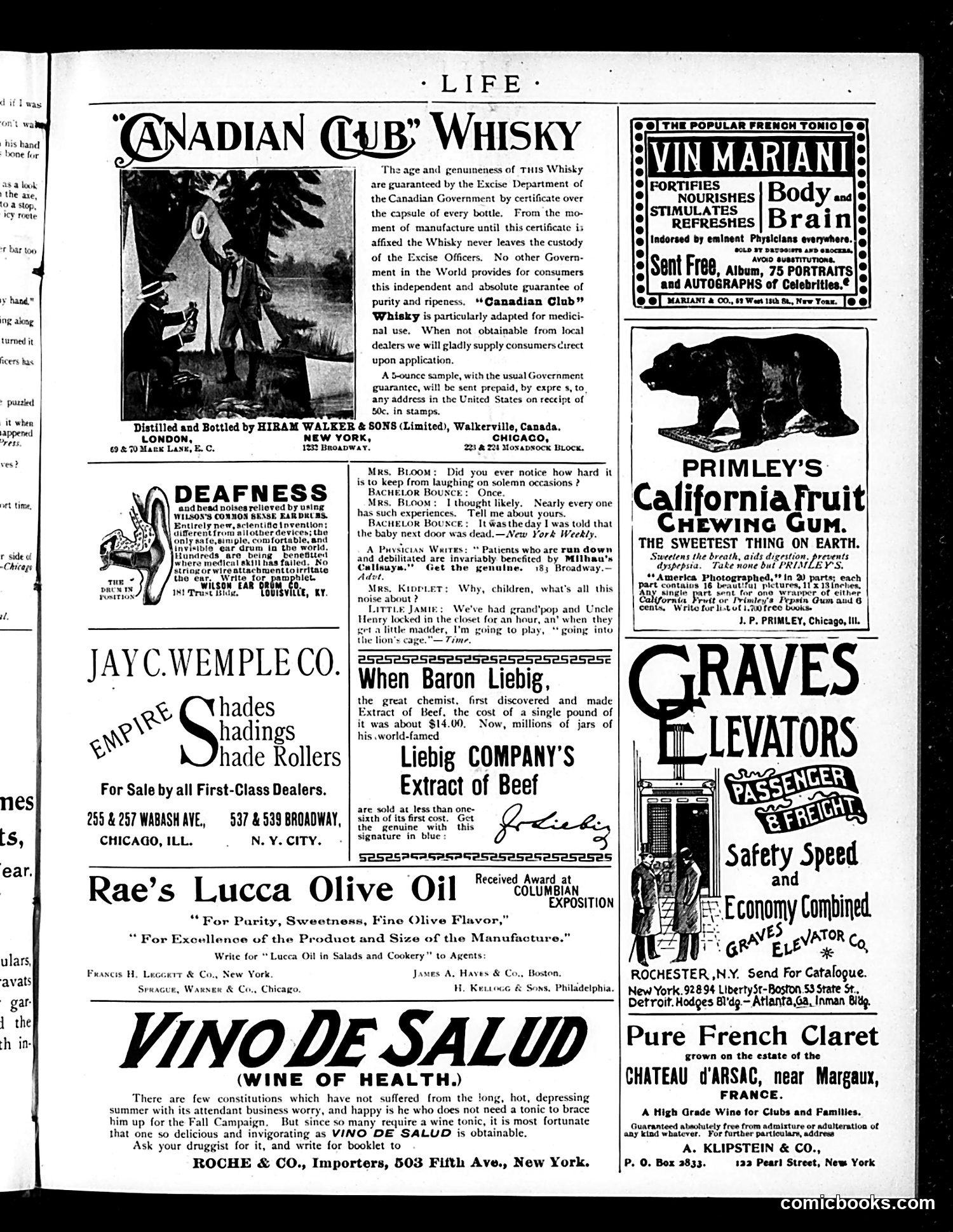 Life — October 11, 1894 — page 17 of 18