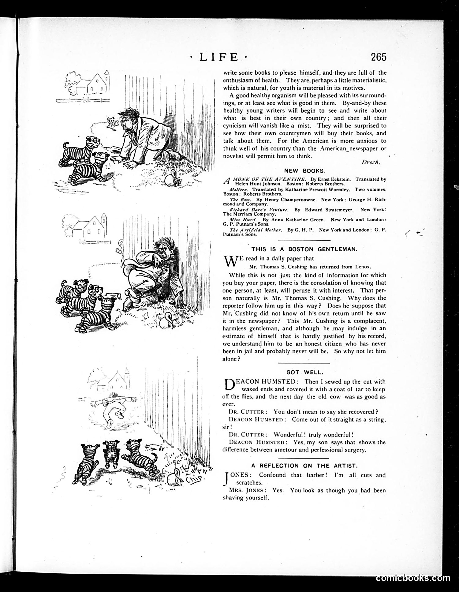 Life — October 25, 1894 — page 7 of 14