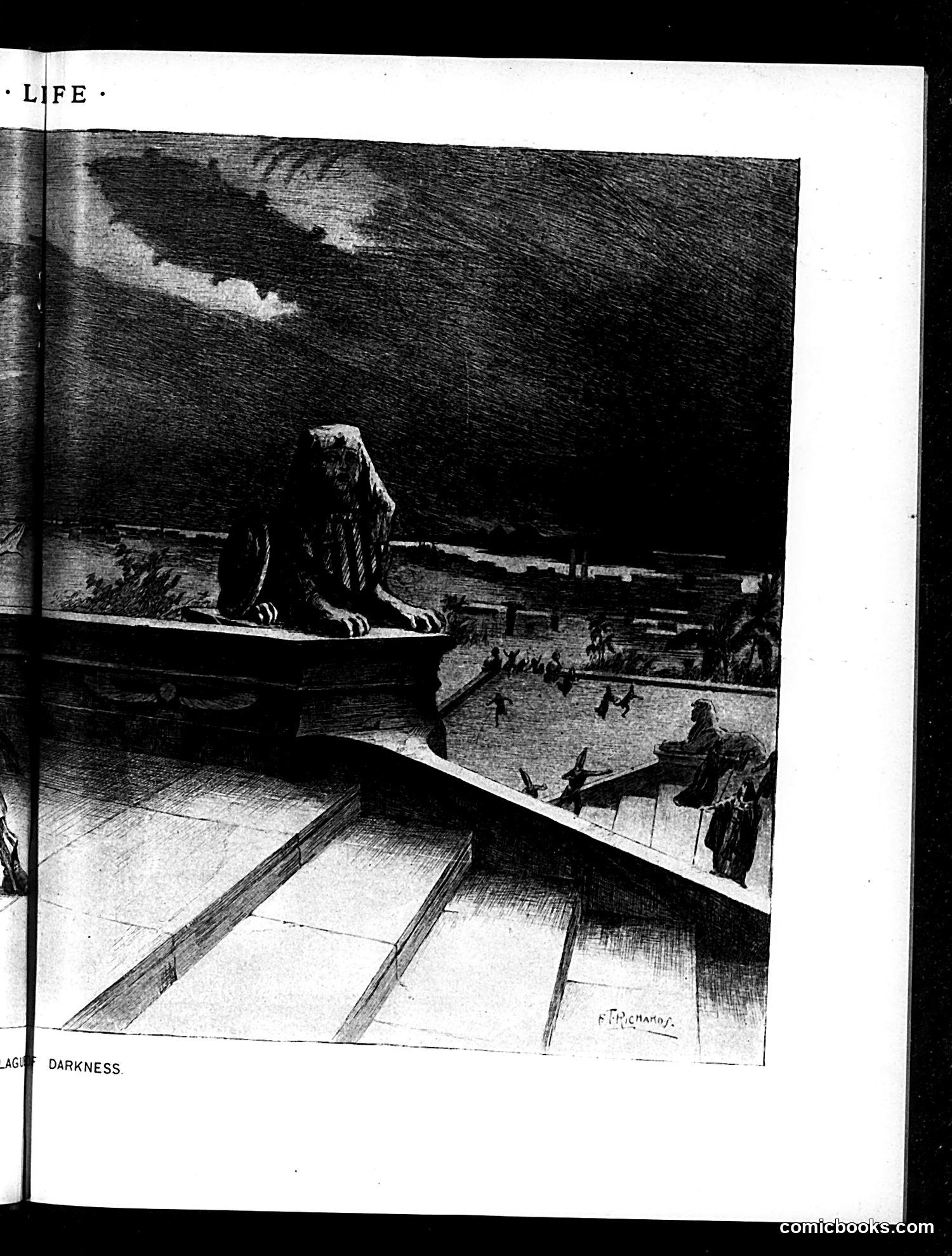 Life — November 1, 1894 — page 11 of 18