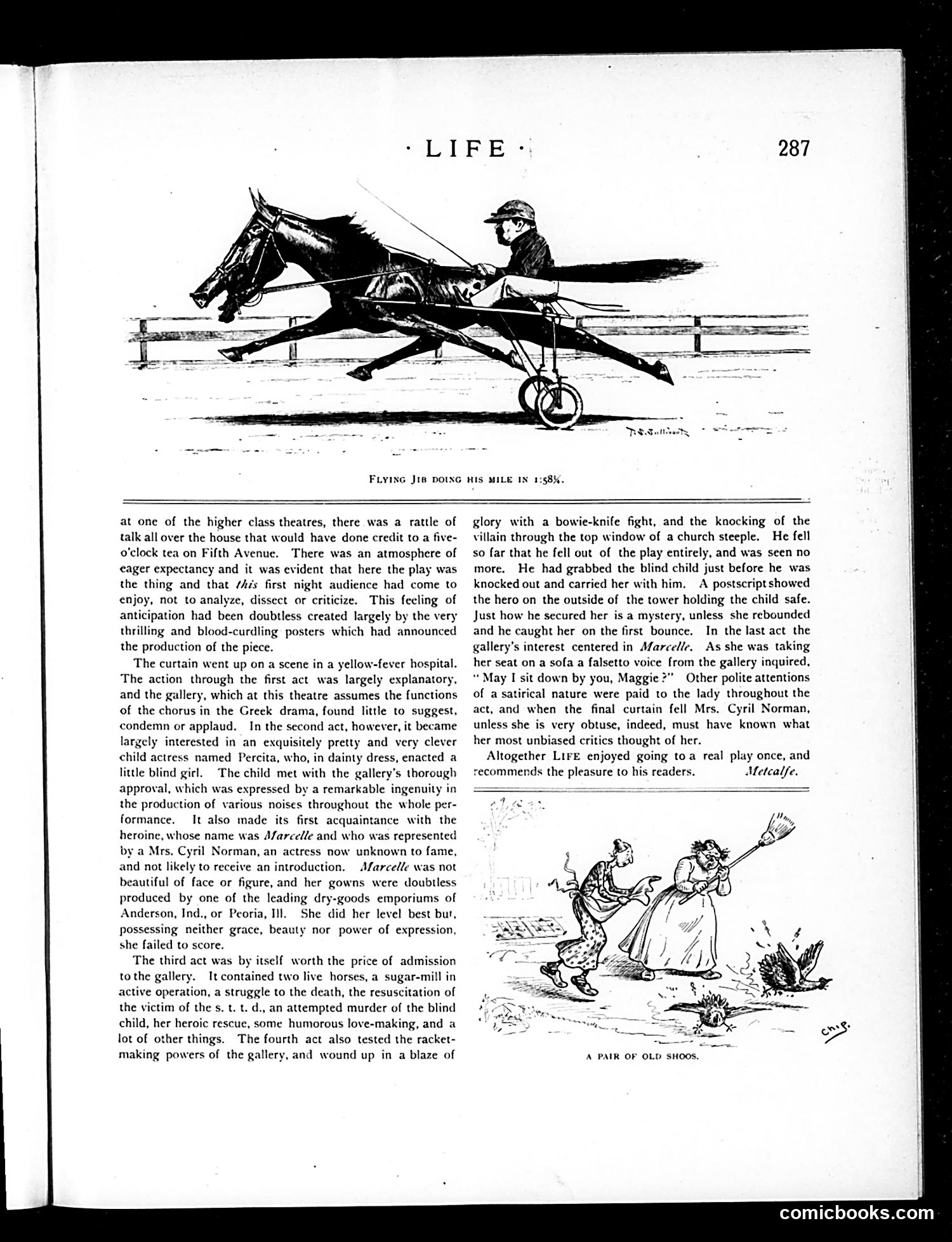 Life — November 1, 1894 — page 13 of 18