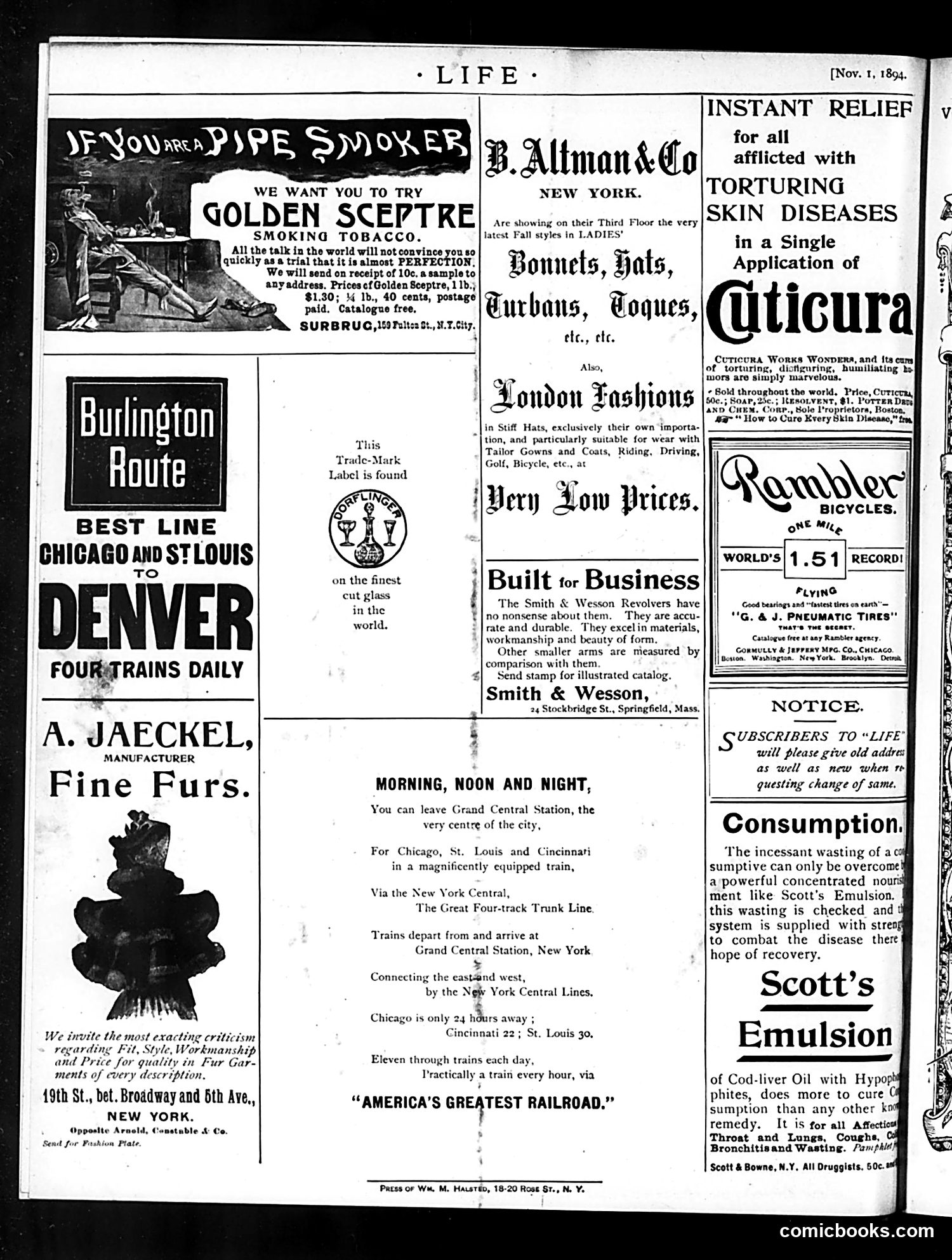 Life — November 1, 1894 — page 18 of 18