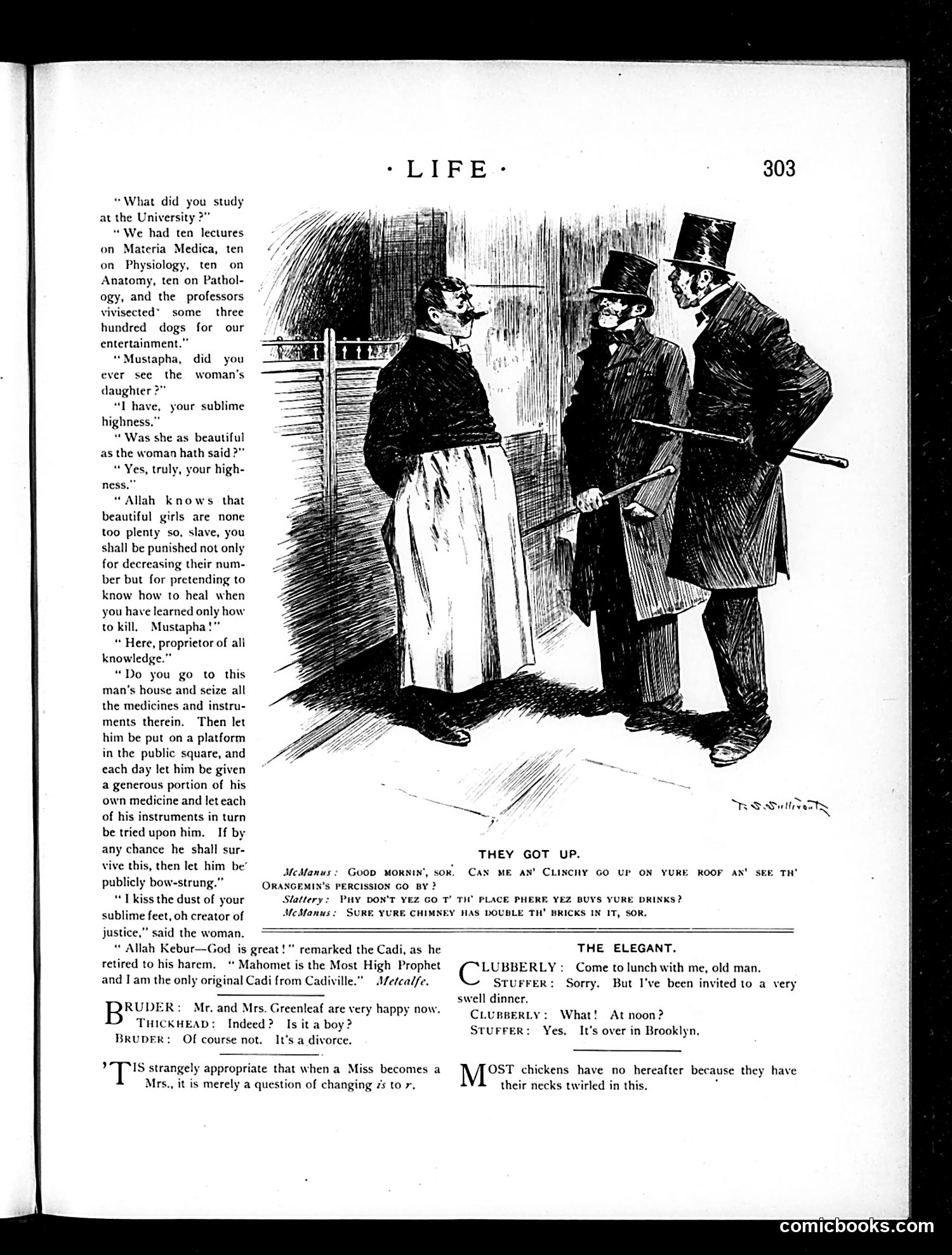 Life — November 8, 1894 — page 13 of 14