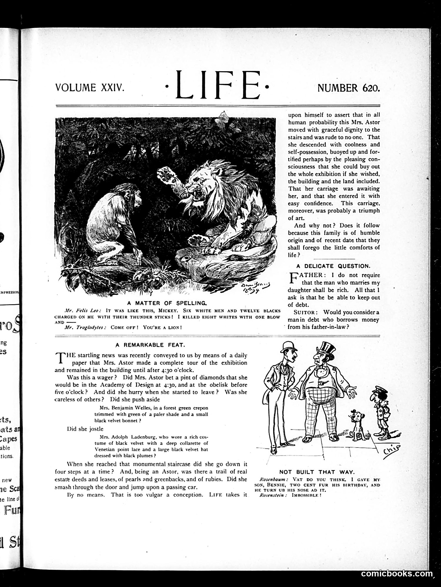 Life — November 15, 1894 — page 3 of 16