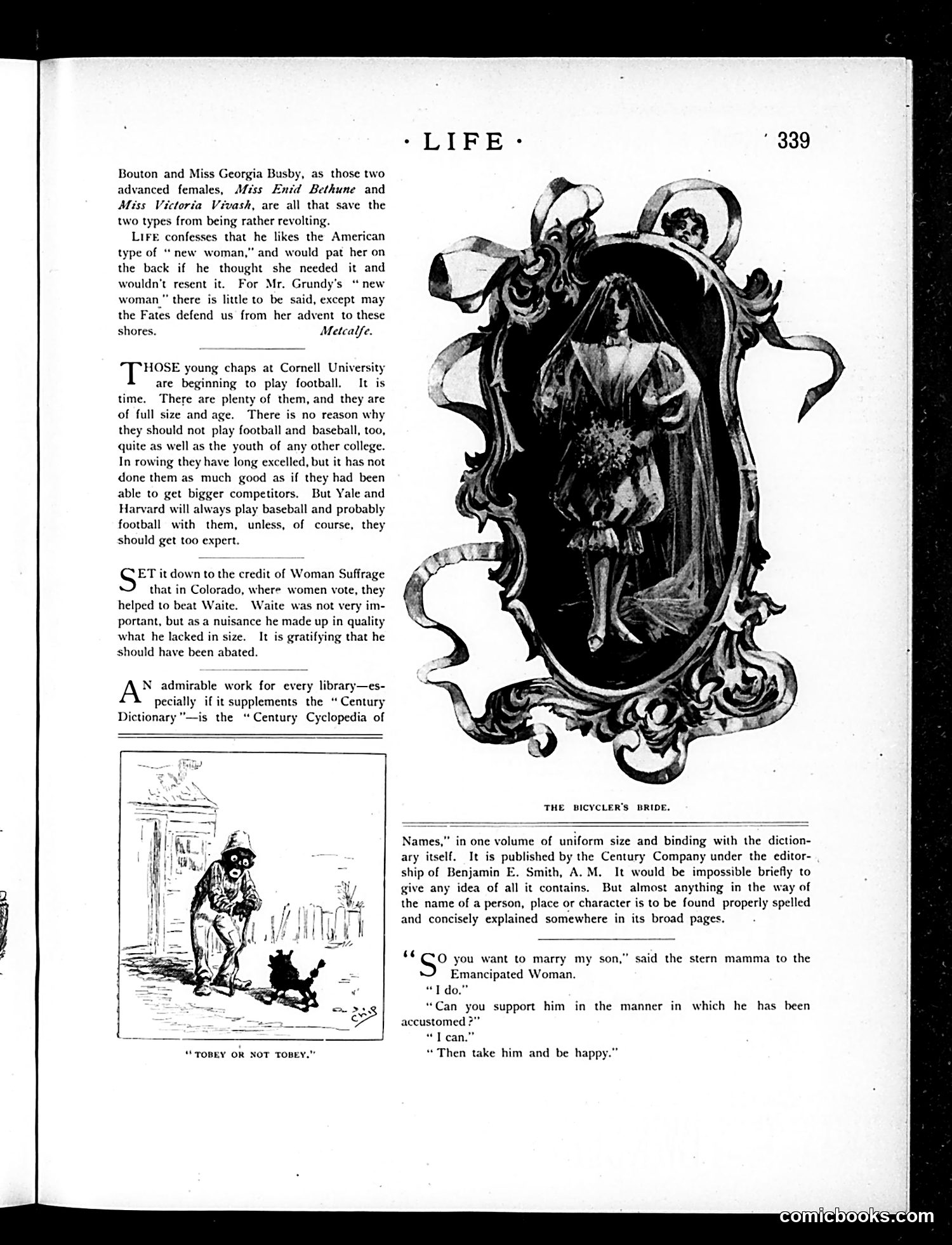 Life — November 22, 1894 — page 17 of 24