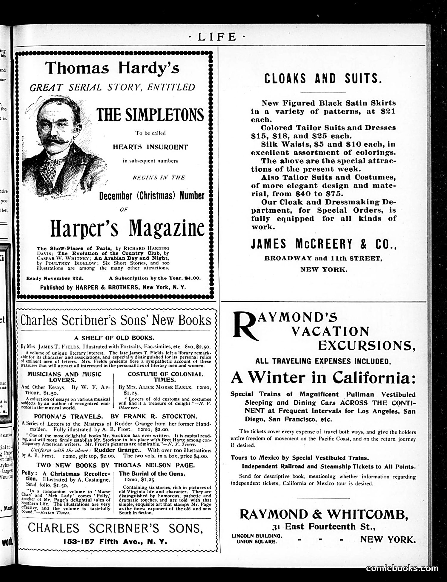 Life — November 22, 1894 — page 19 of 24