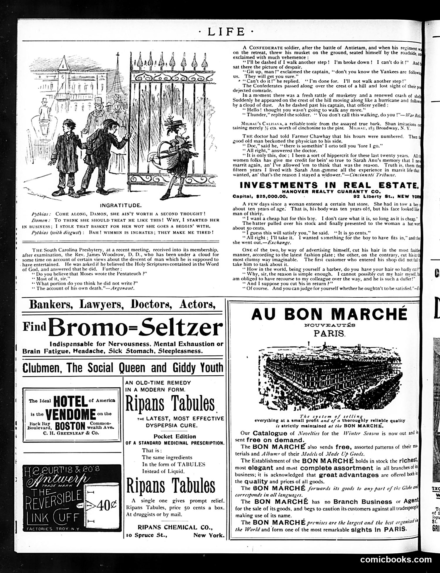 Life — November 22, 1894 — page 22 of 24
