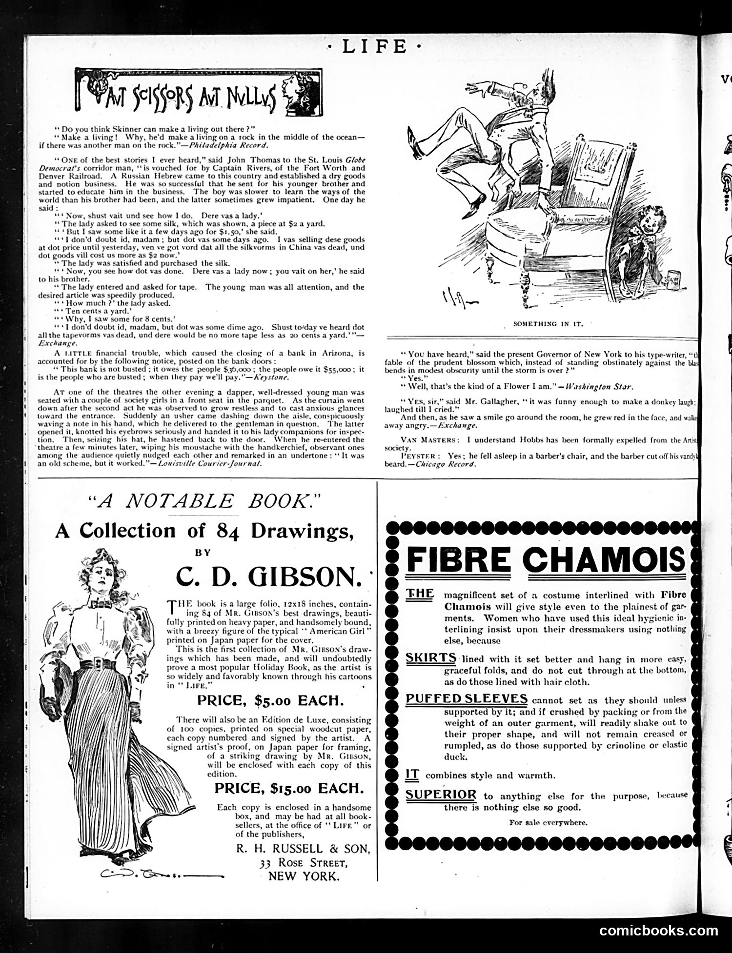 Life — November 22, 1894 — page 24 of 24