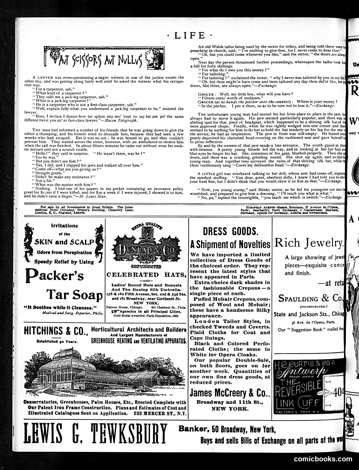 Life — November 29, 1894 — page 14 of 16