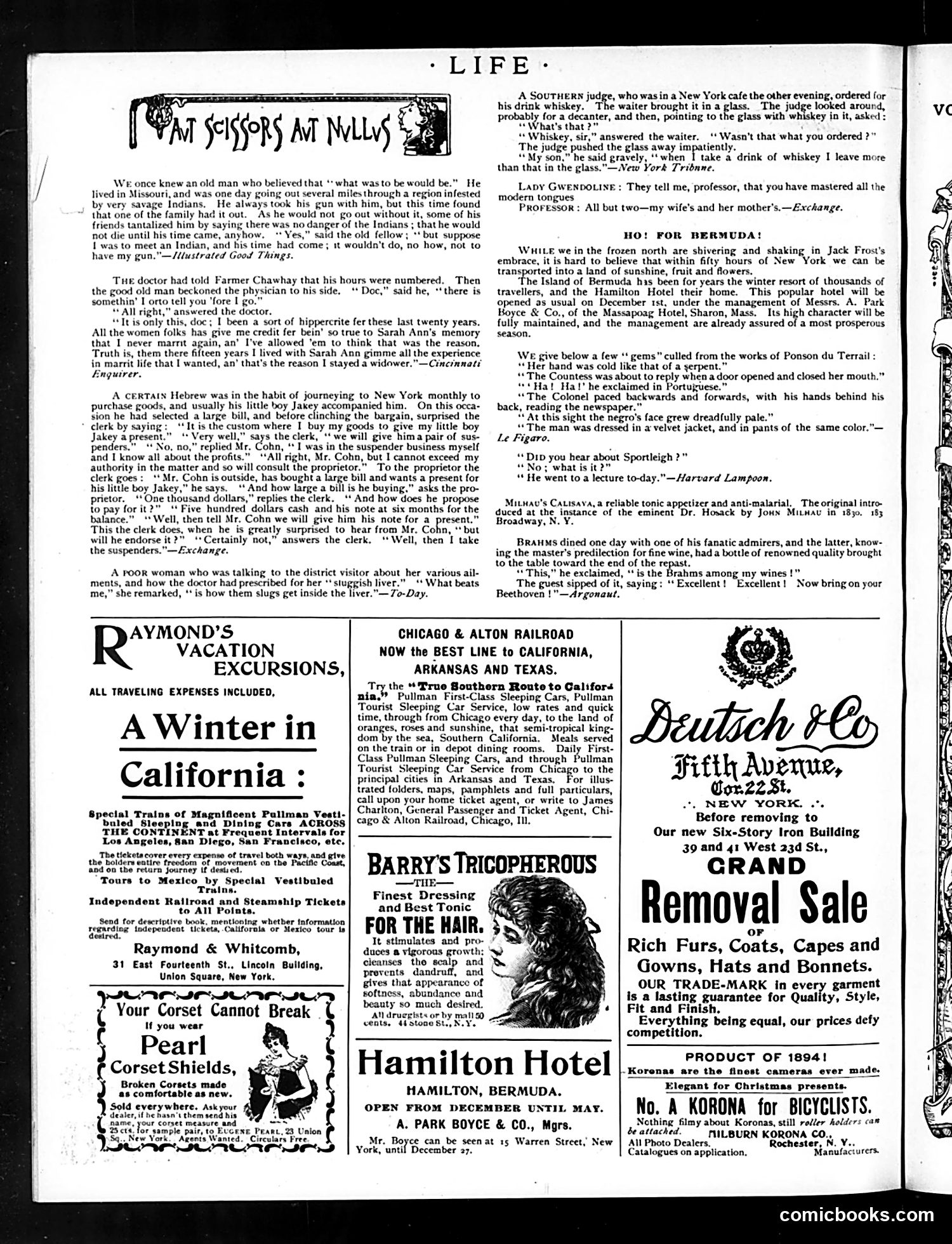 Life — December 6, 1894 — page 16 of 16