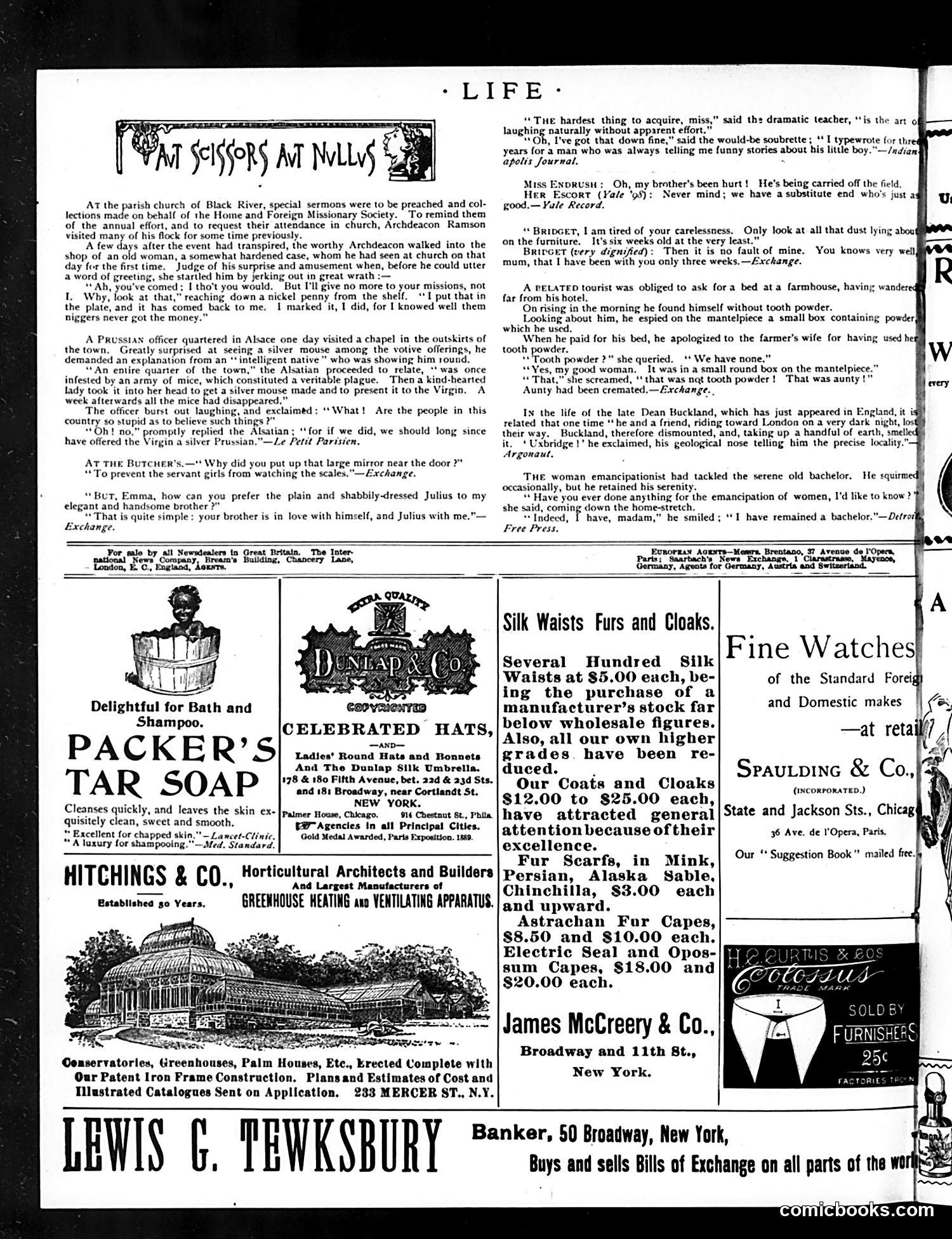 Life — December 13, 1894 — page 14 of 16