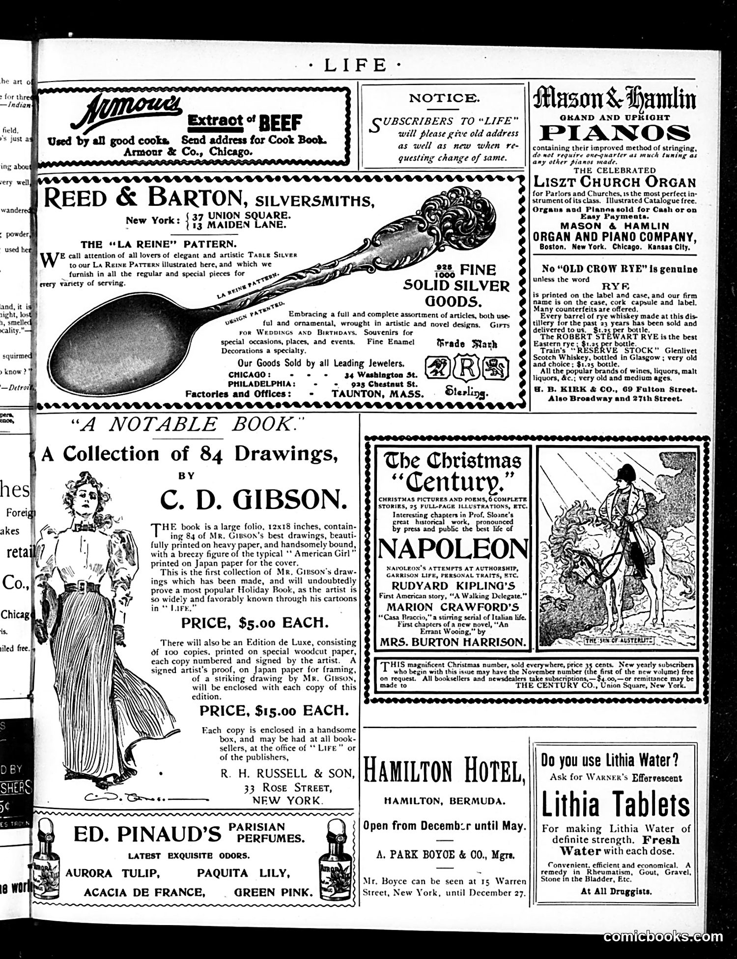 Life — December 13, 1894 — page 15 of 16