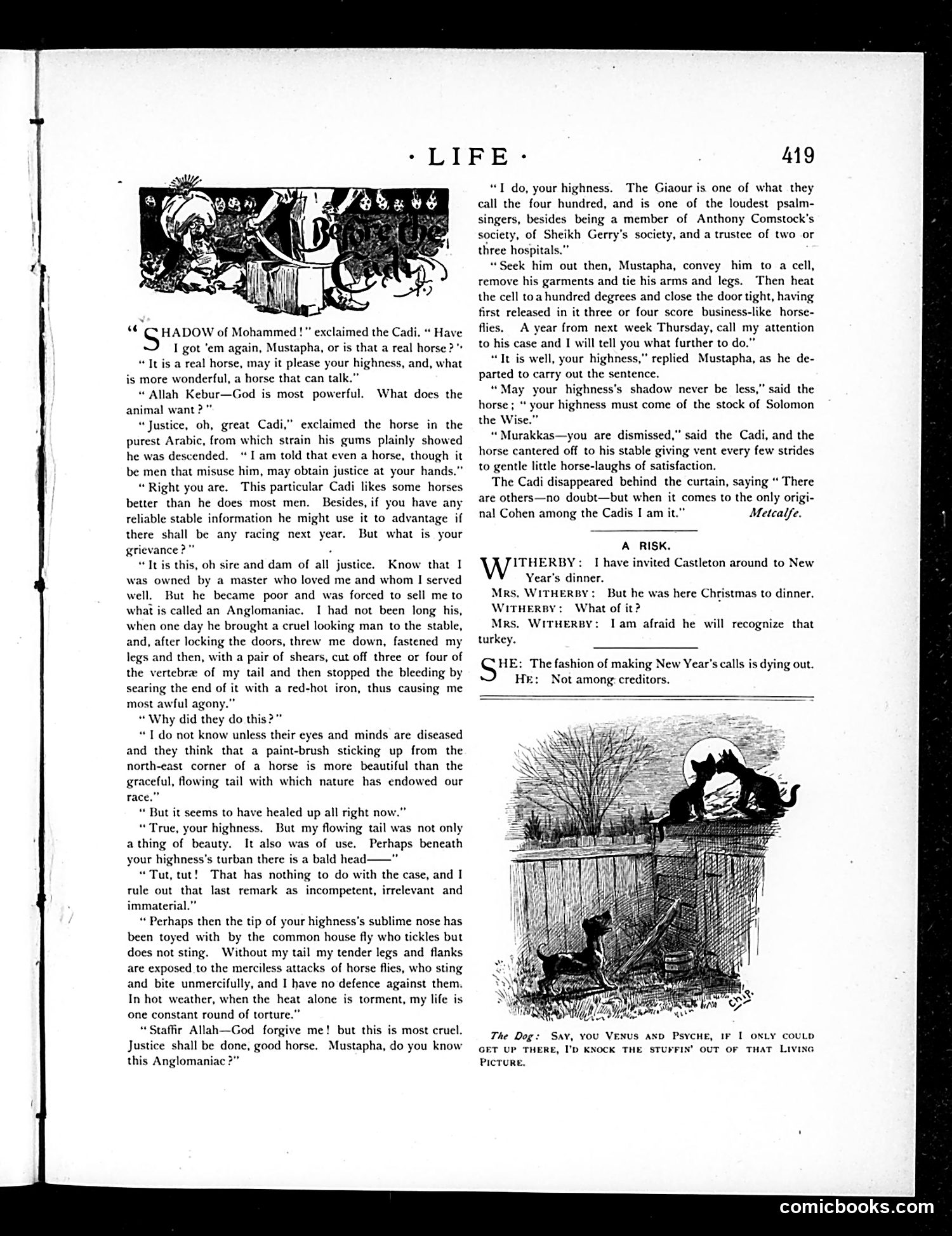 Life — December 27, 1894 — page 13 of 53
