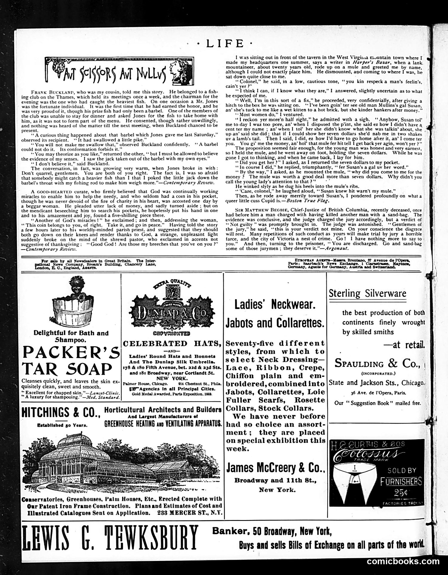 Life — December 27, 1894 — page 14 of 53