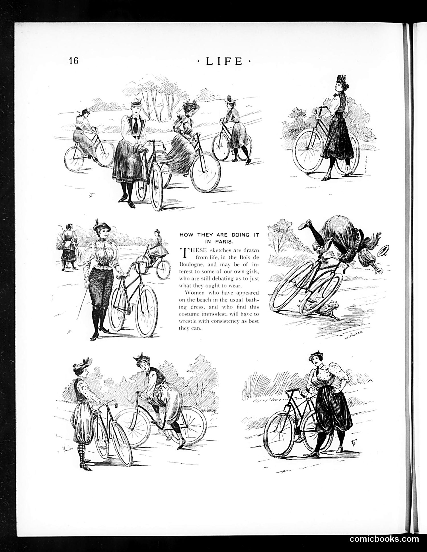 Life — December 27, 1894 — page 32 of 53