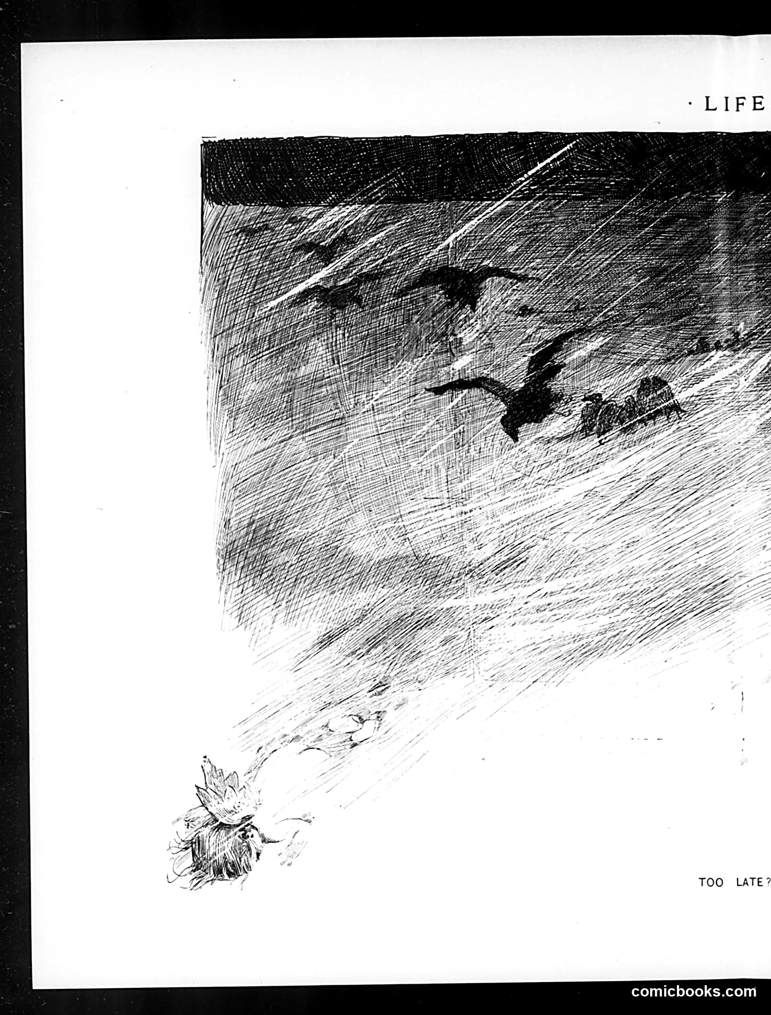 Life — December 27, 1894 — page 34 of 53