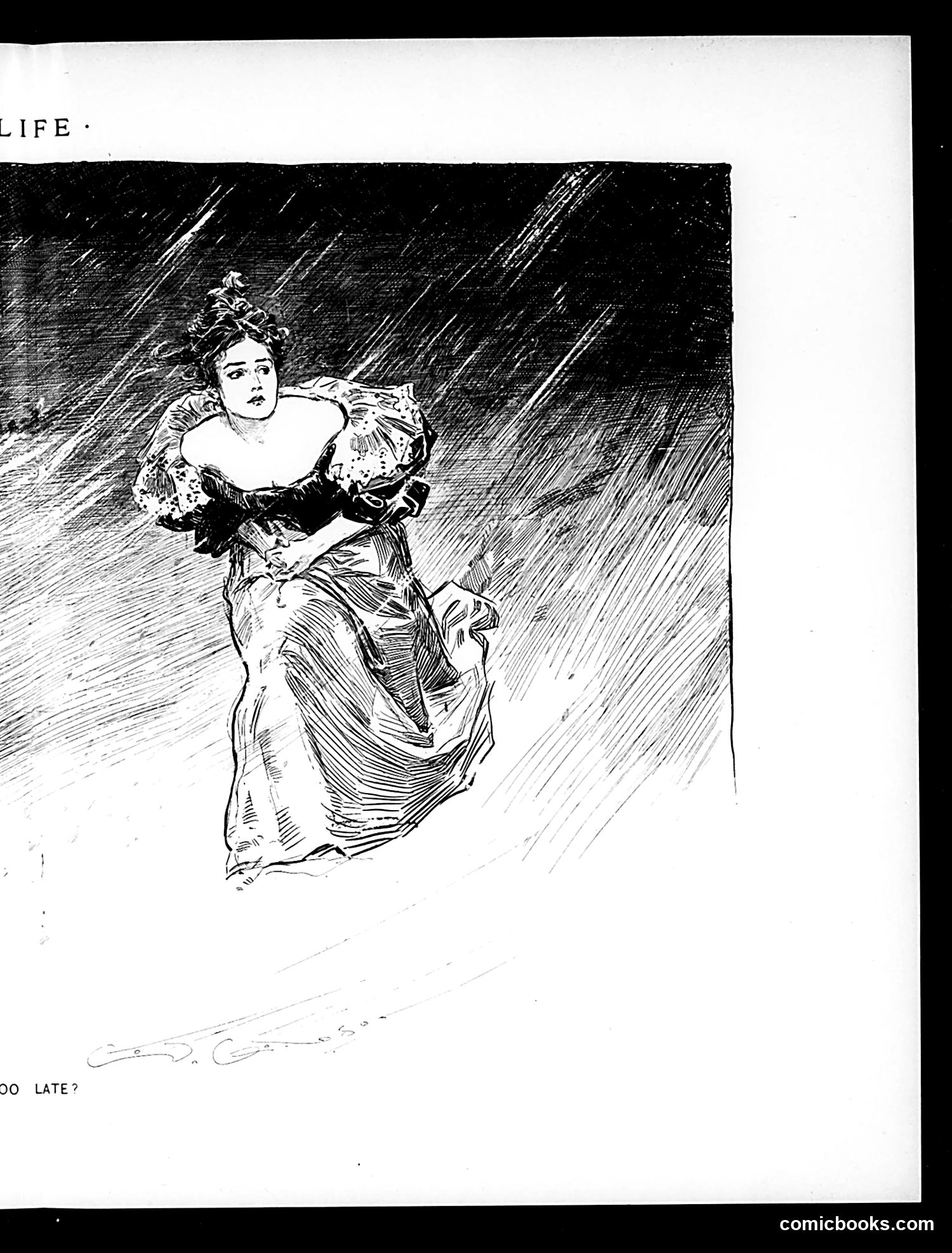 Life — December 27, 1894 — page 35 of 53