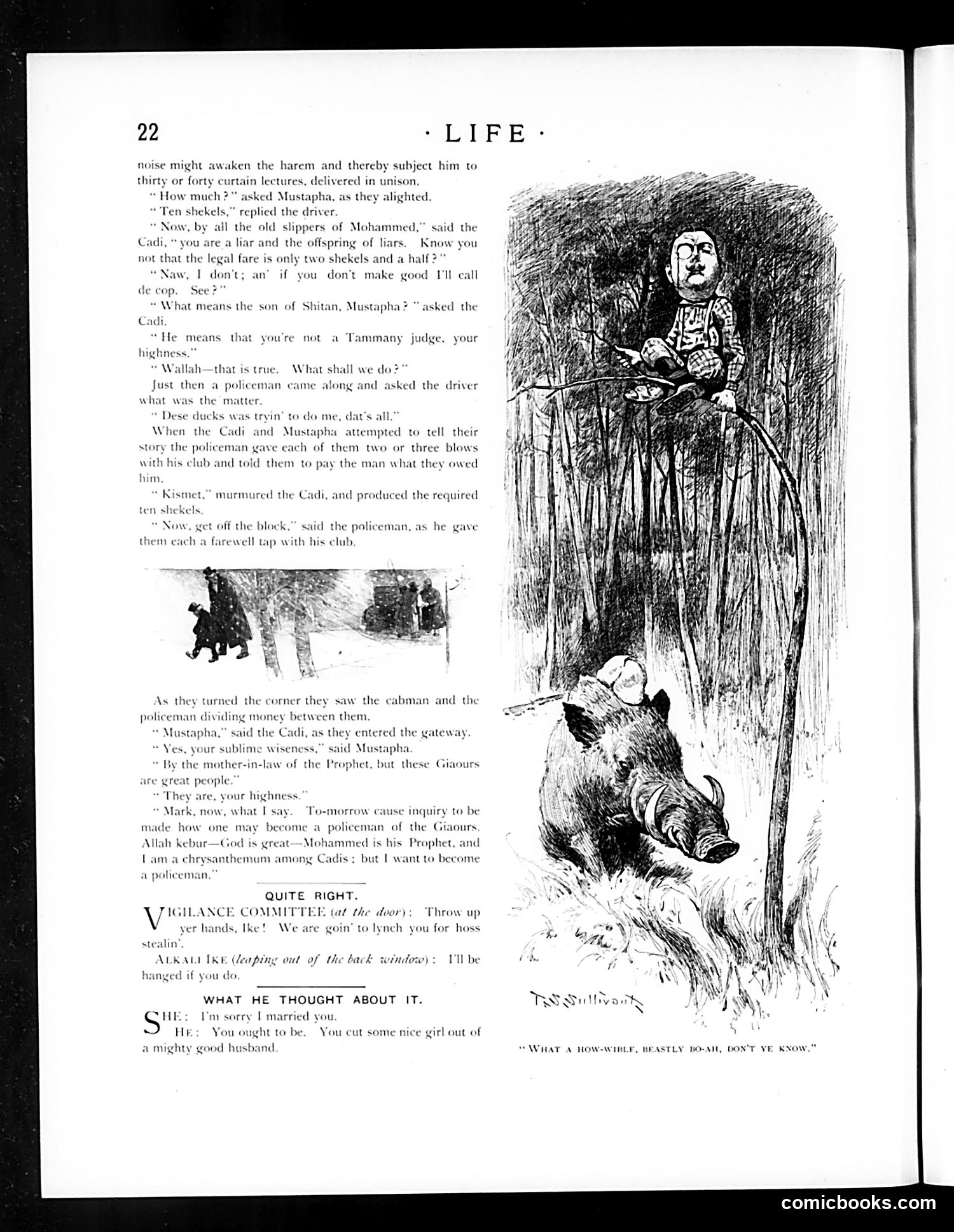 Life — December 27, 1894 — page 38 of 53