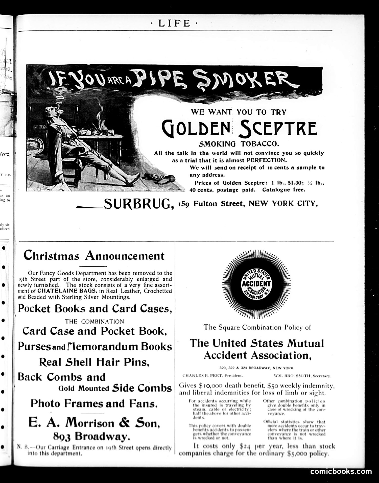 Life — December 27, 1894 — page 47 of 53