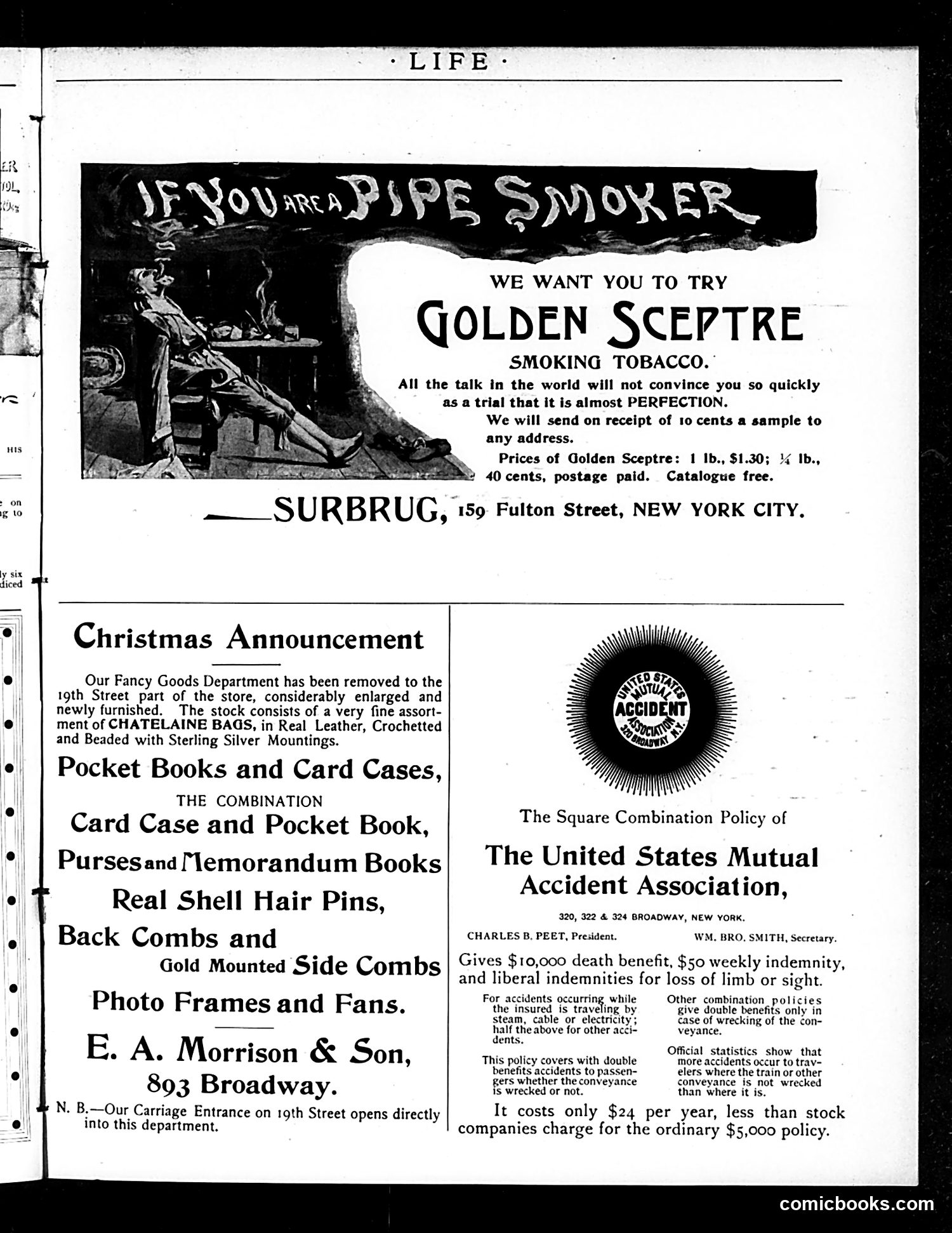 Life — December 27, 1894 — page 51 of 53