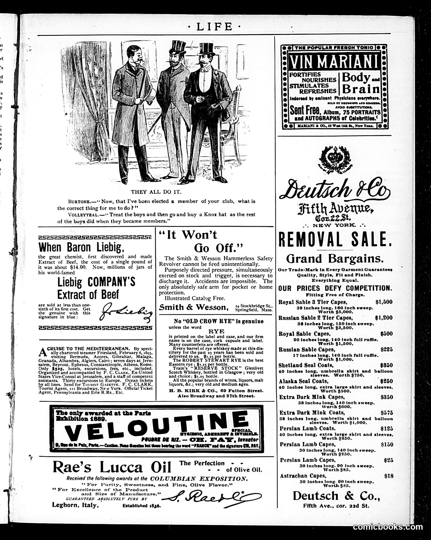 Life — January 3, 1895 — page 17 of 18
