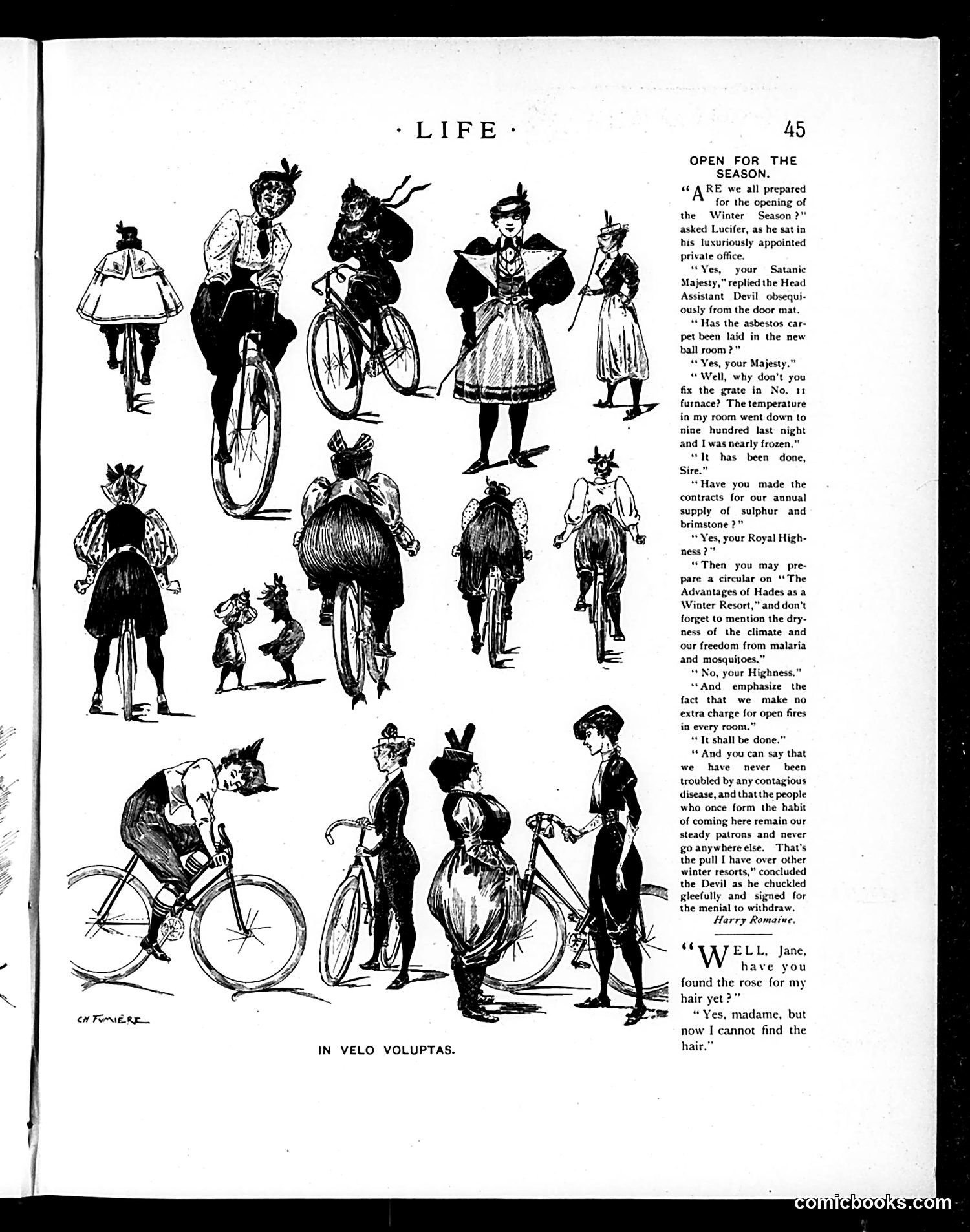 Life — January 17, 1895 — page 13 of 16