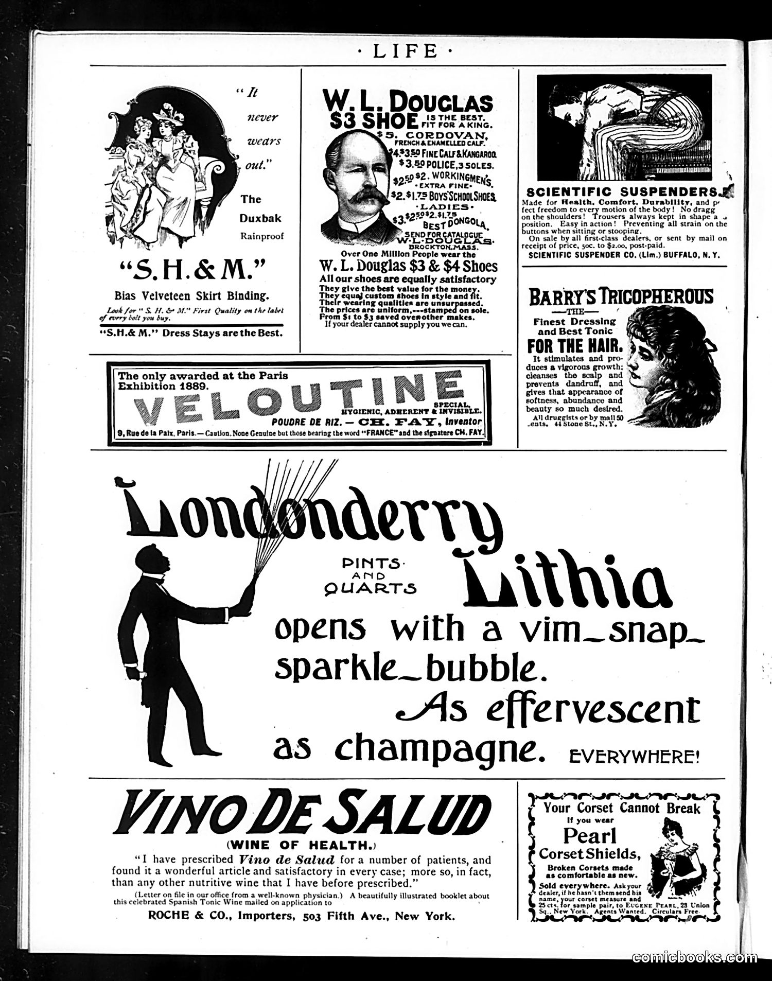 Life — January 17, 1895 — page 16 of 16