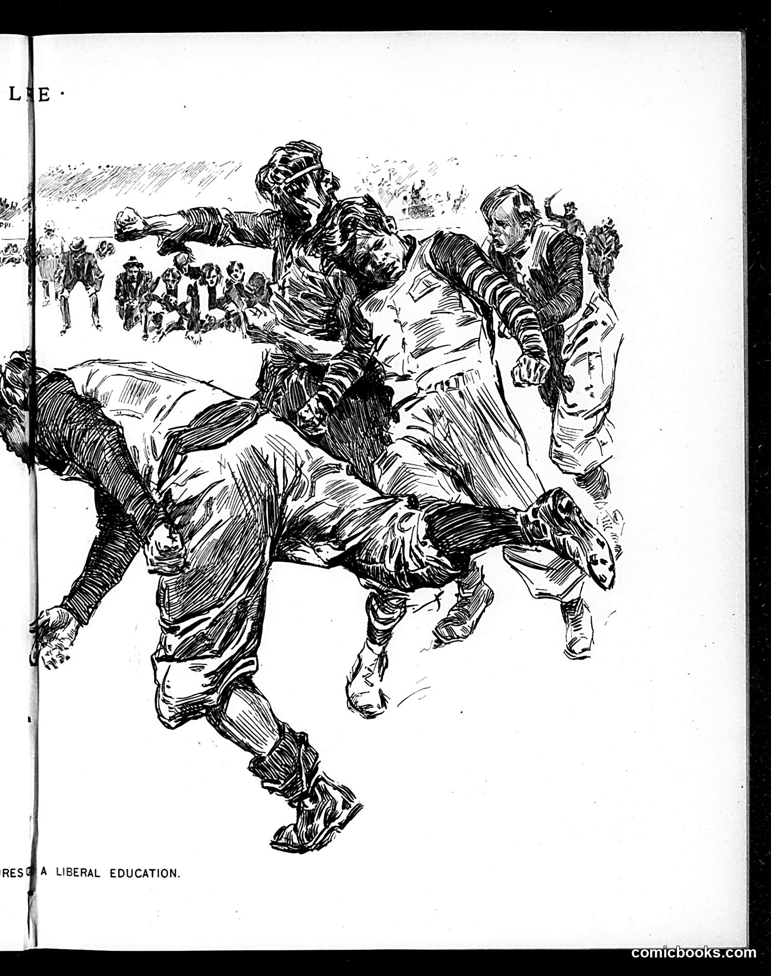 Life — January 24, 1895 — page 9 of 14