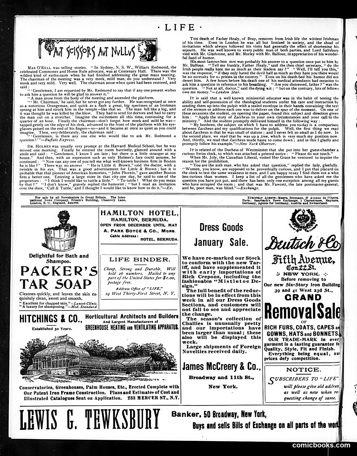 Life — January 24, 1895 — page 14 of 14