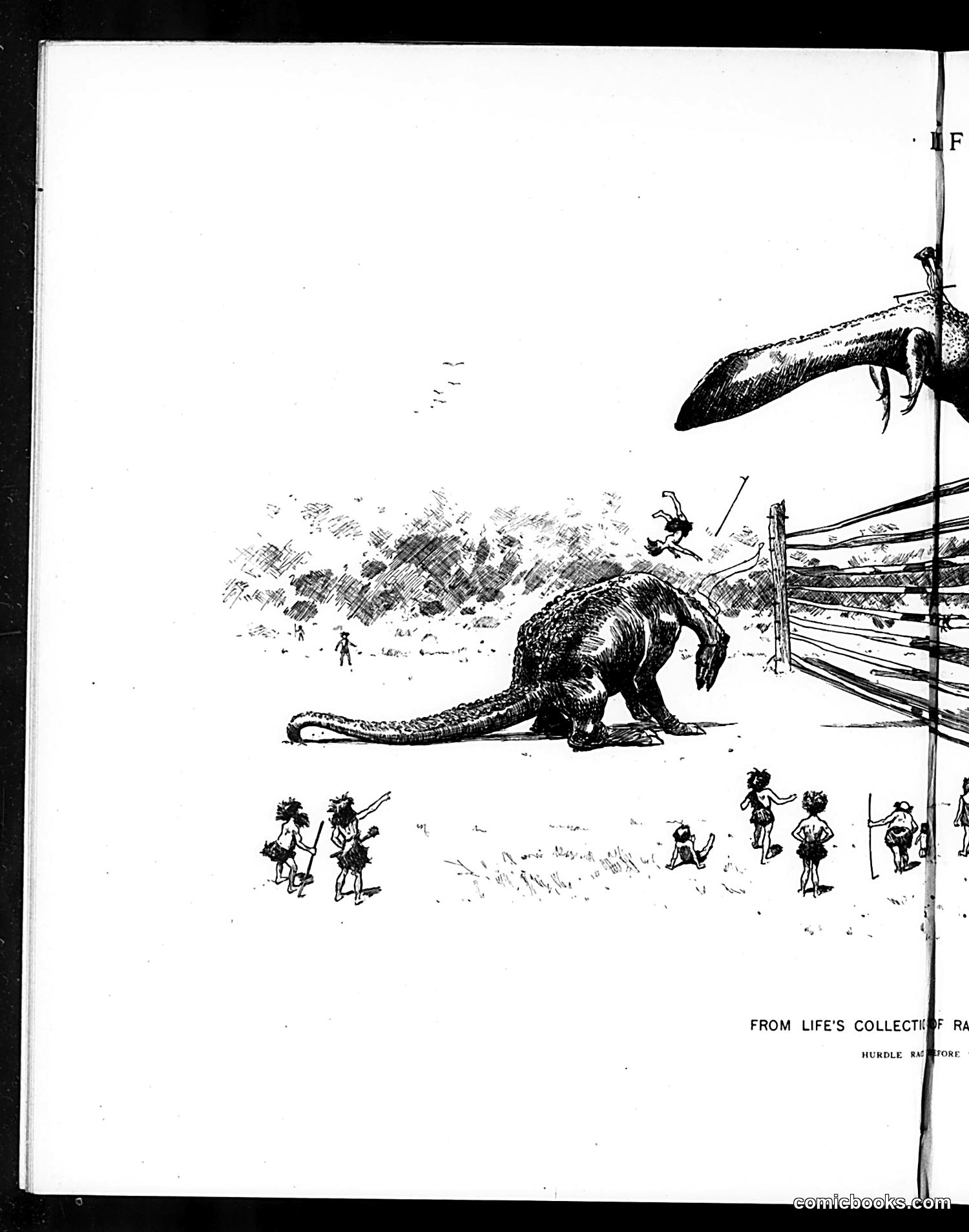 Life — January 31, 1895 — page 8 of 16