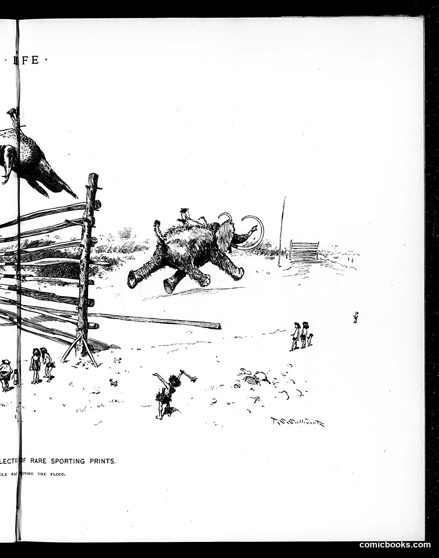 Life — January 31, 1895 — page 9 of 16