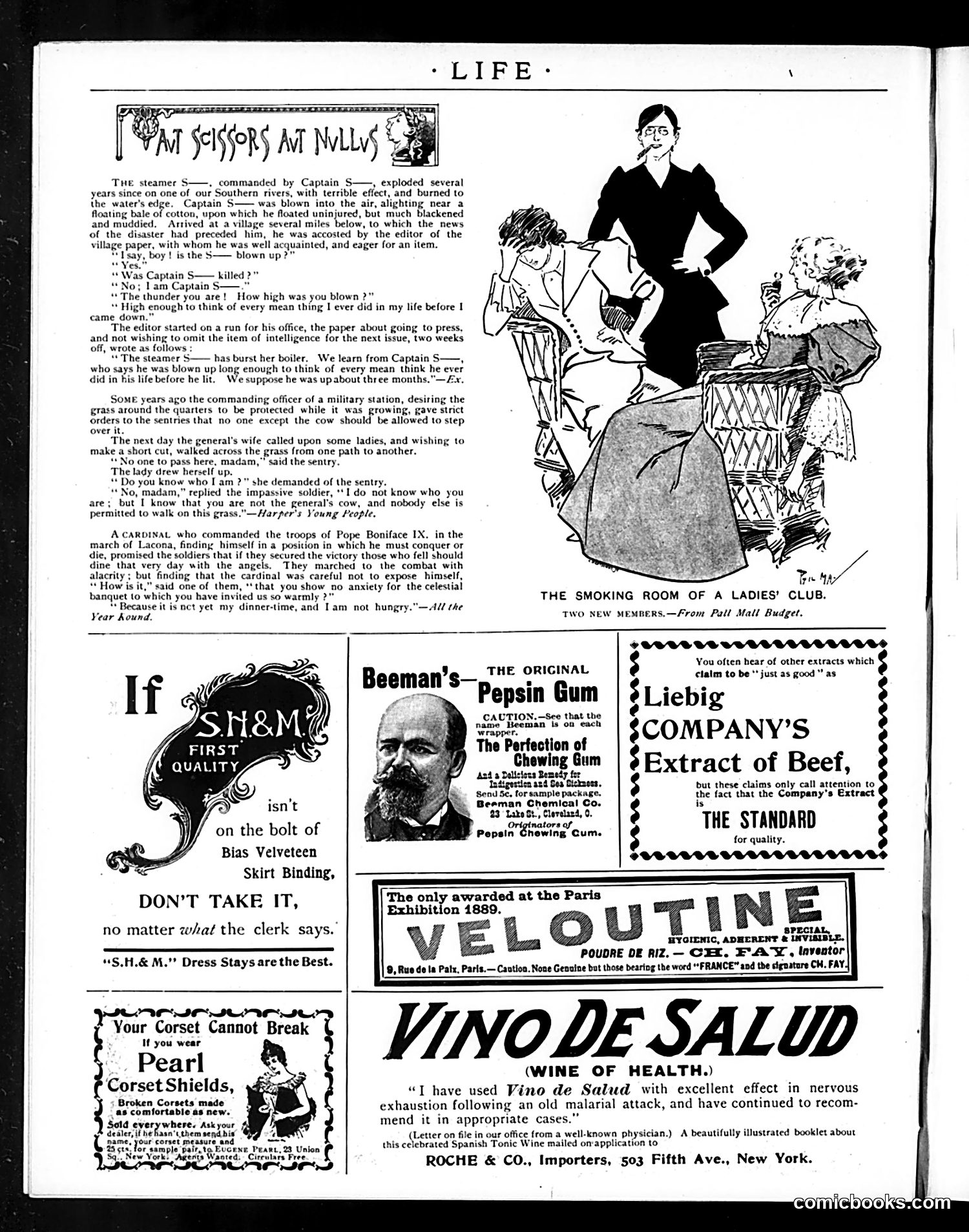 Life — January 31, 1895 — page 16 of 16