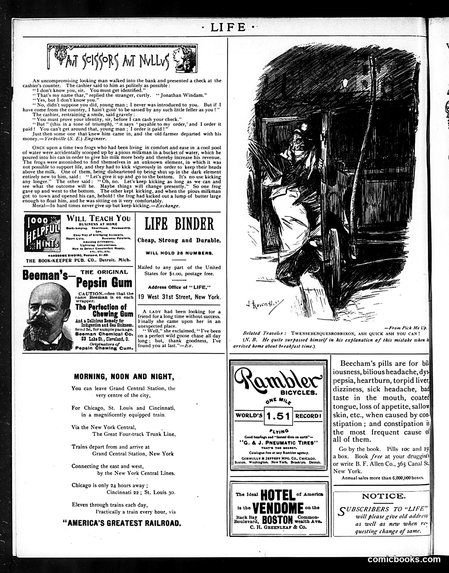 Life — February 14, 1895 — page 18 of 18