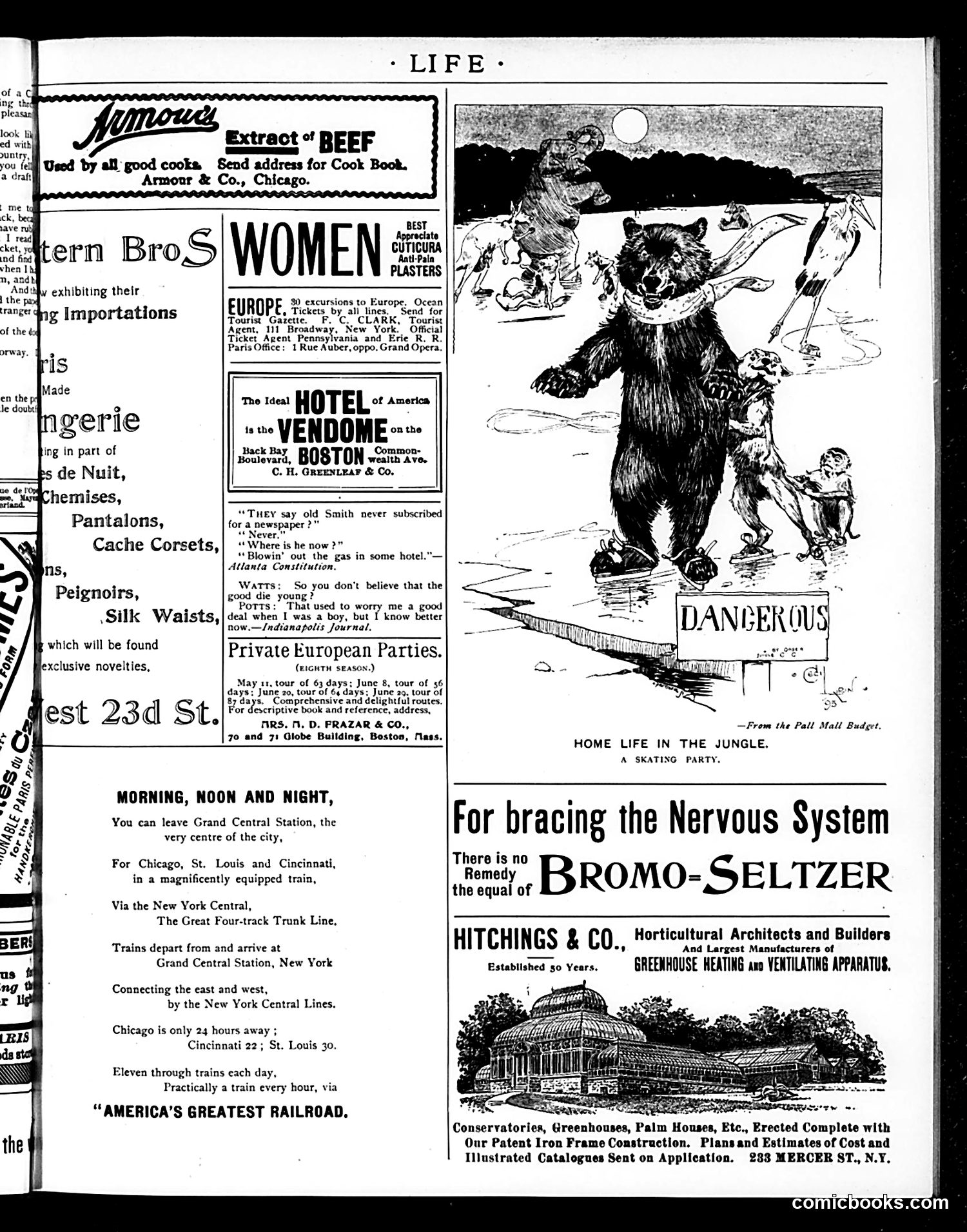 Life — February 21, 1895 — page 15 of 18