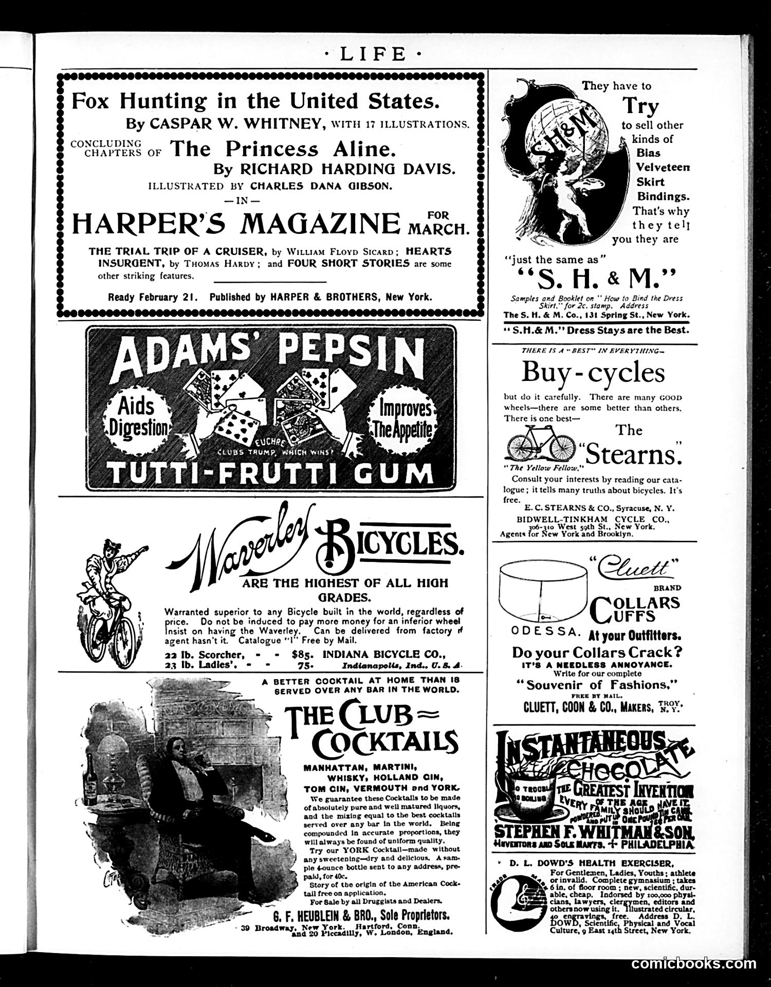 Life — February 21, 1895 — page 17 of 18