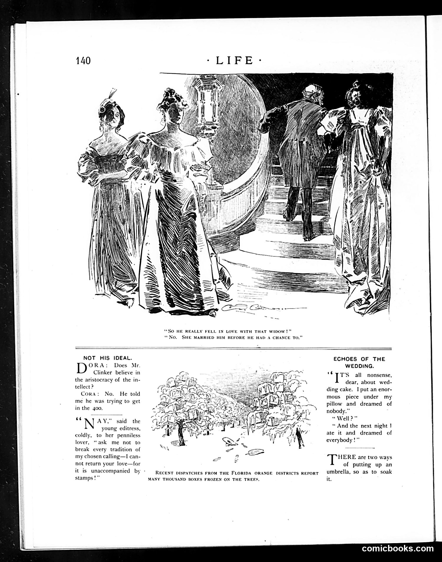 Life — February 28, 1895 — page 12 of 20