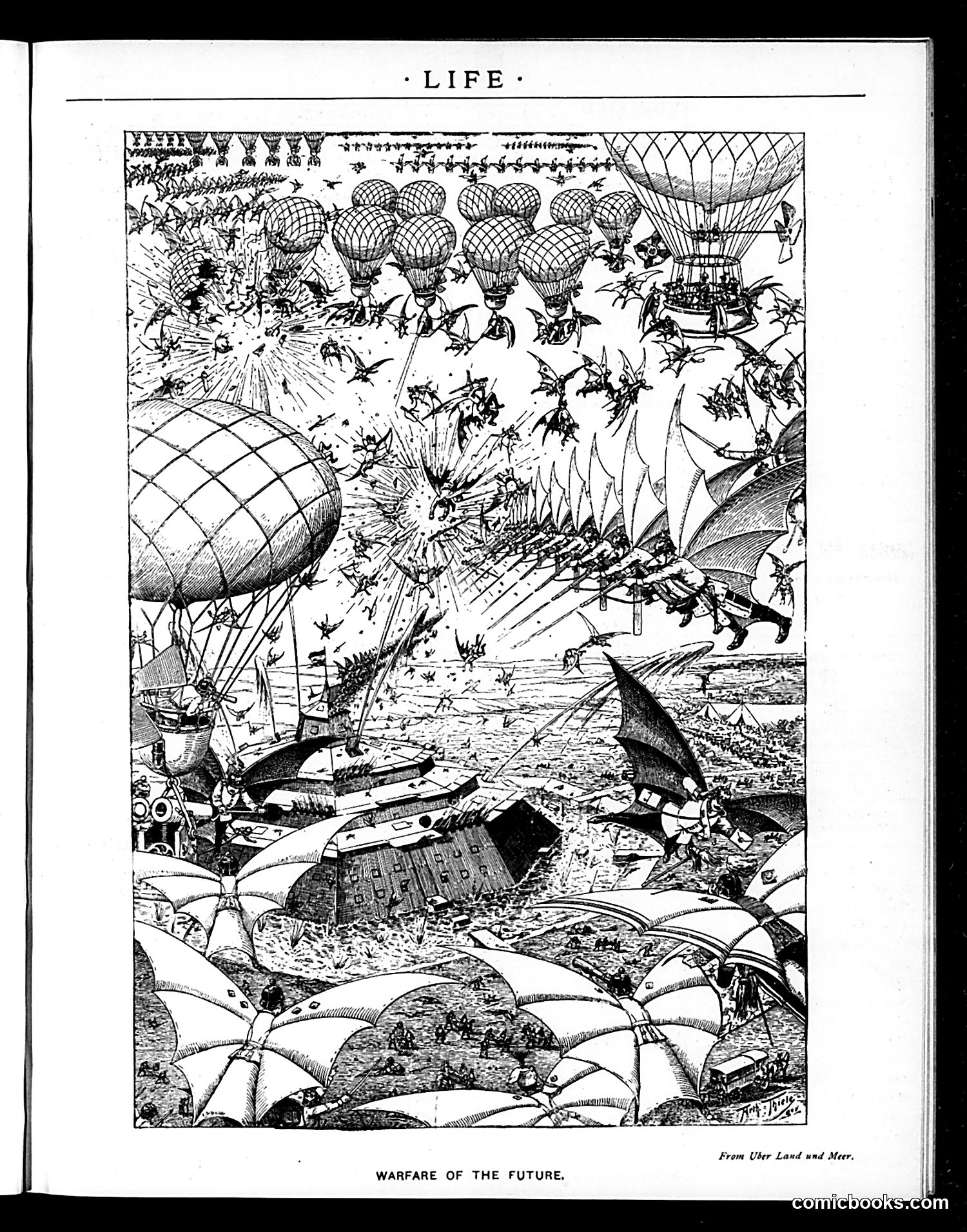 Life — February 28, 1895 — page 19 of 20