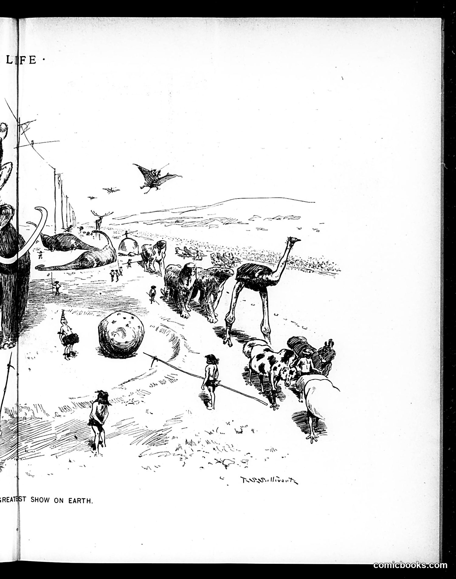 Life — March 28, 1895 — page 11 of 18
