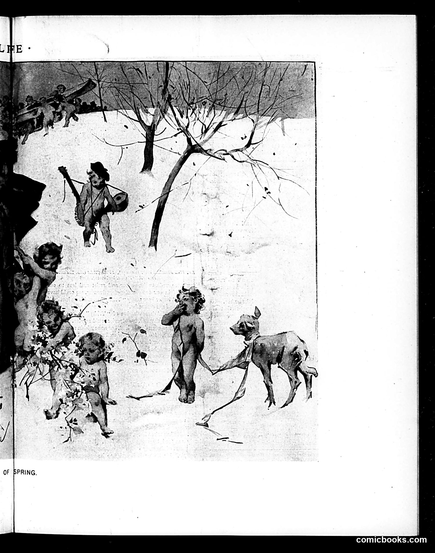 Life — April 25, 1895 — page 11 of 18