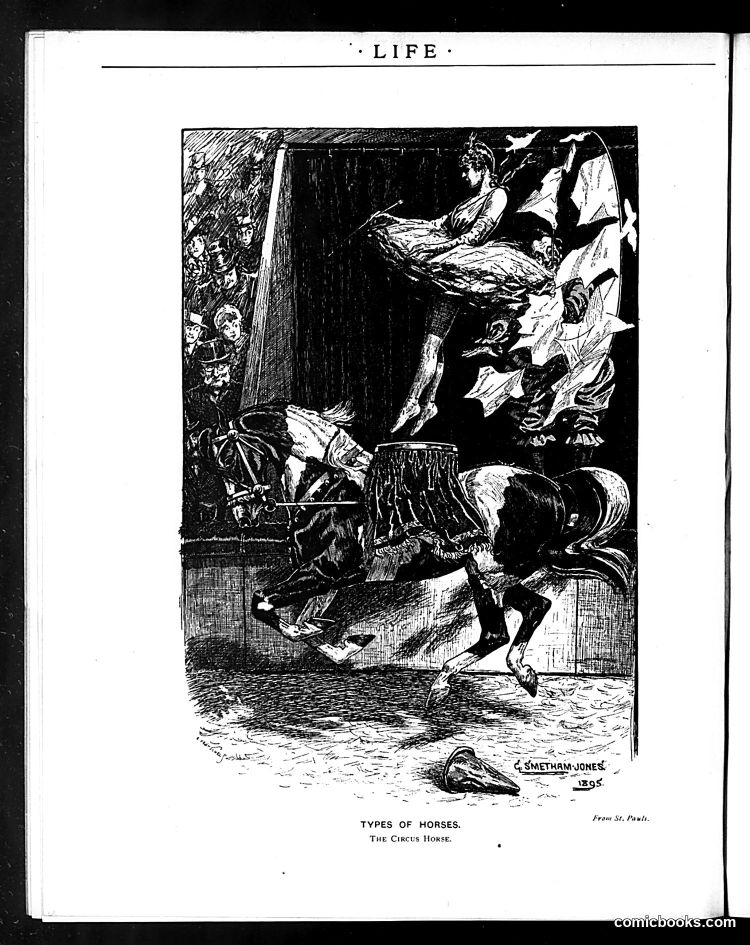 Life — May 9, 1895 — page 18 of 18