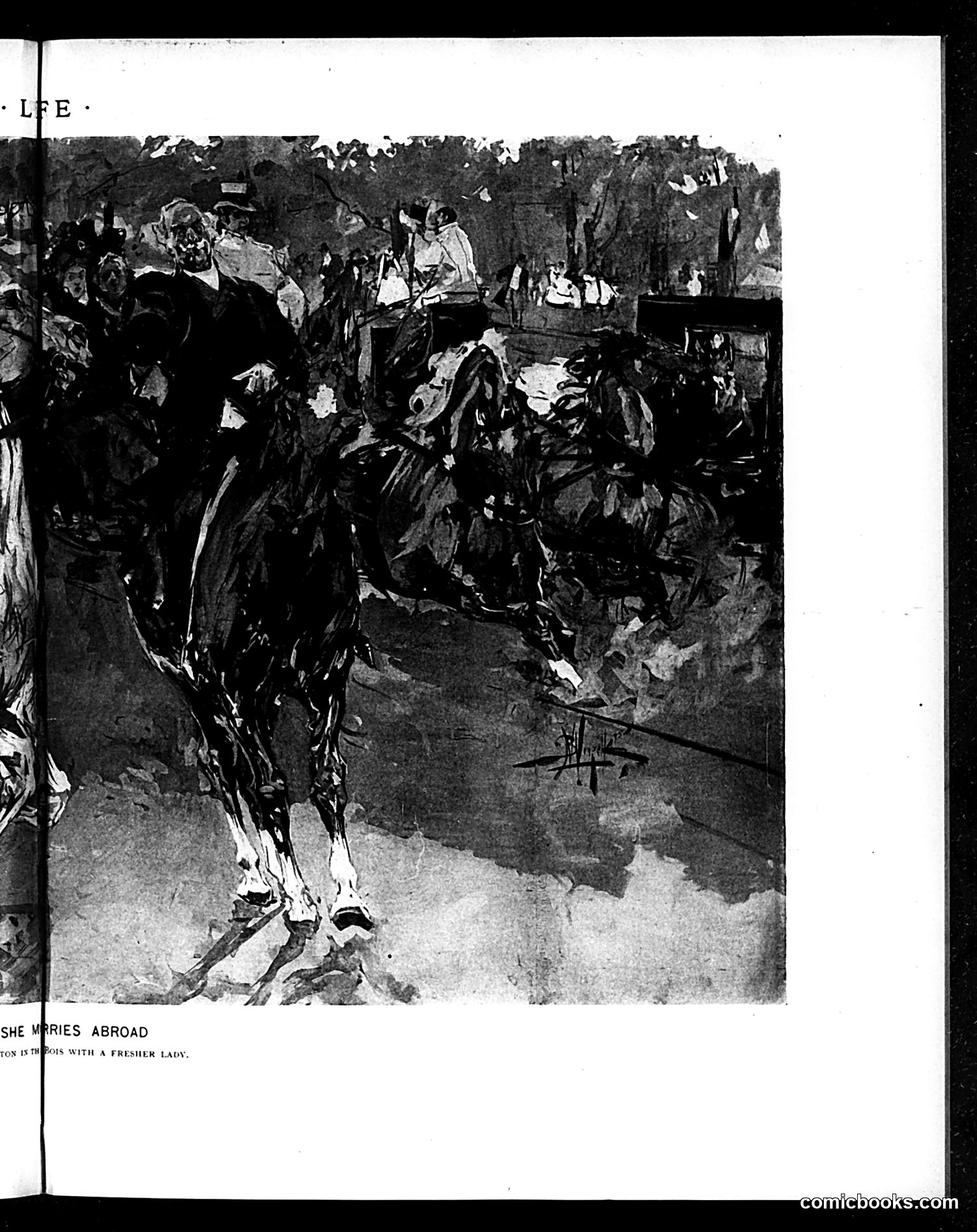 Life — May 16, 1895 — page 11 of 18