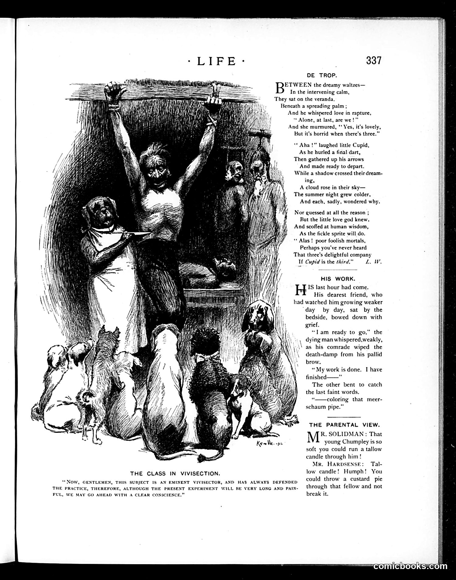 Life — May 23, 1895 — page 7 of 18