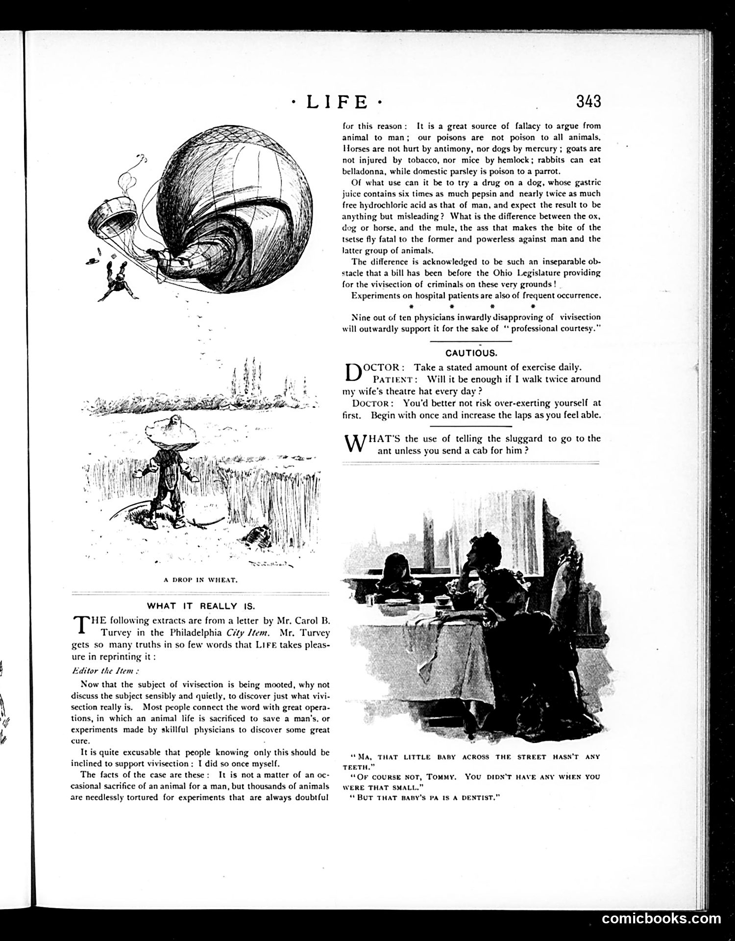 Life — May 23, 1895 — page 13 of 18