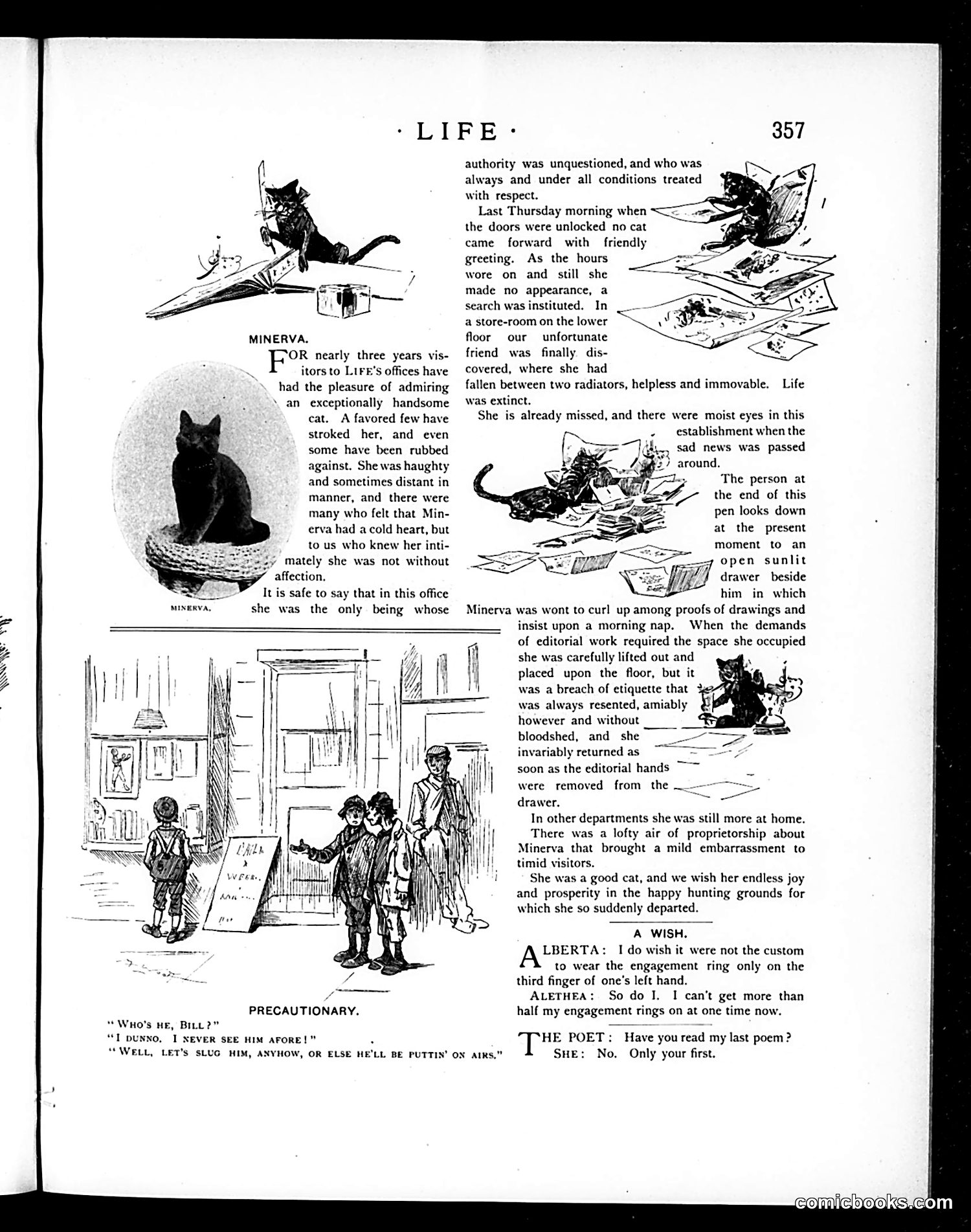 Life — May 30, 1895 — page 11 of 22