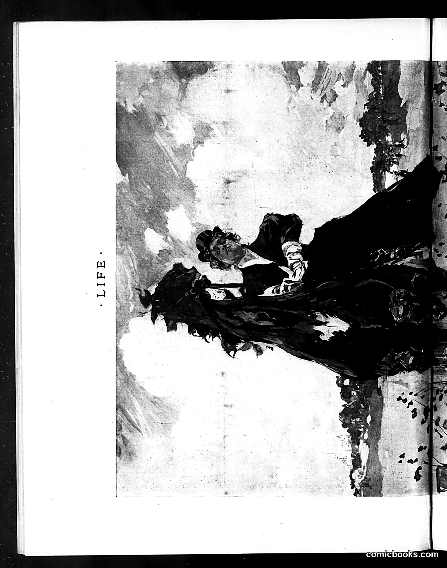 Life — May 30, 1895 — page 12 of 22
