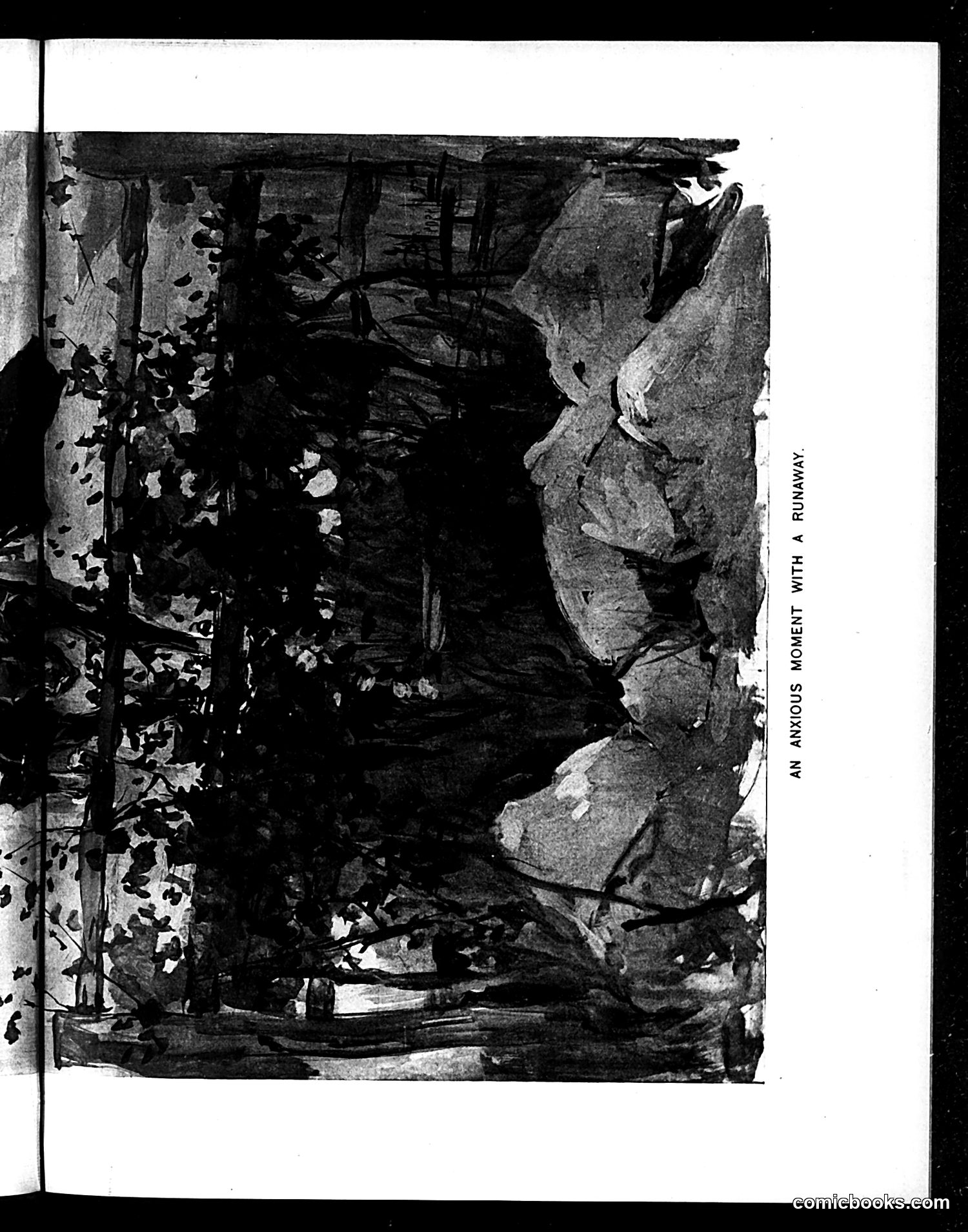 Life — May 30, 1895 — page 13 of 22