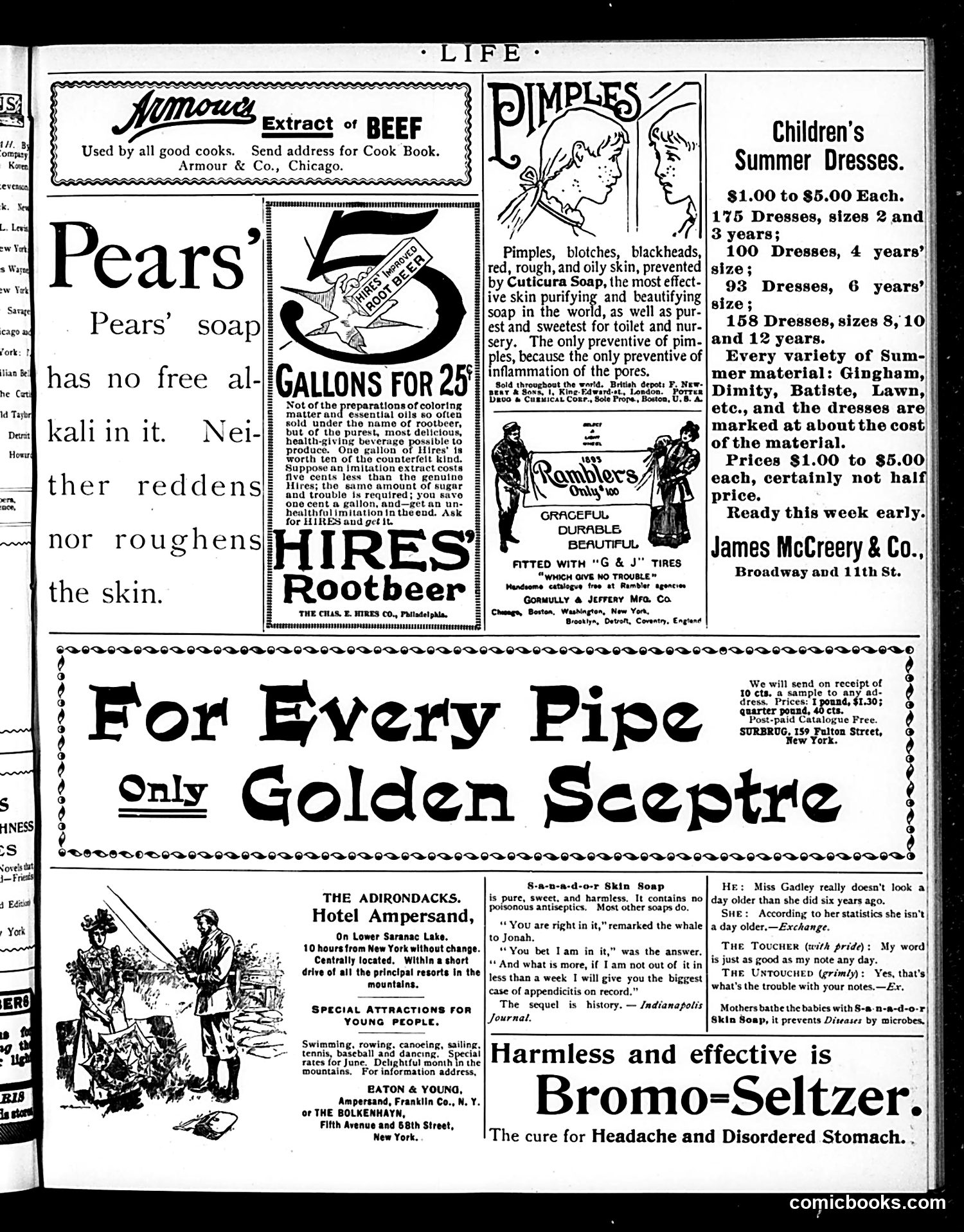 Life — May 30, 1895 — page 19 of 22