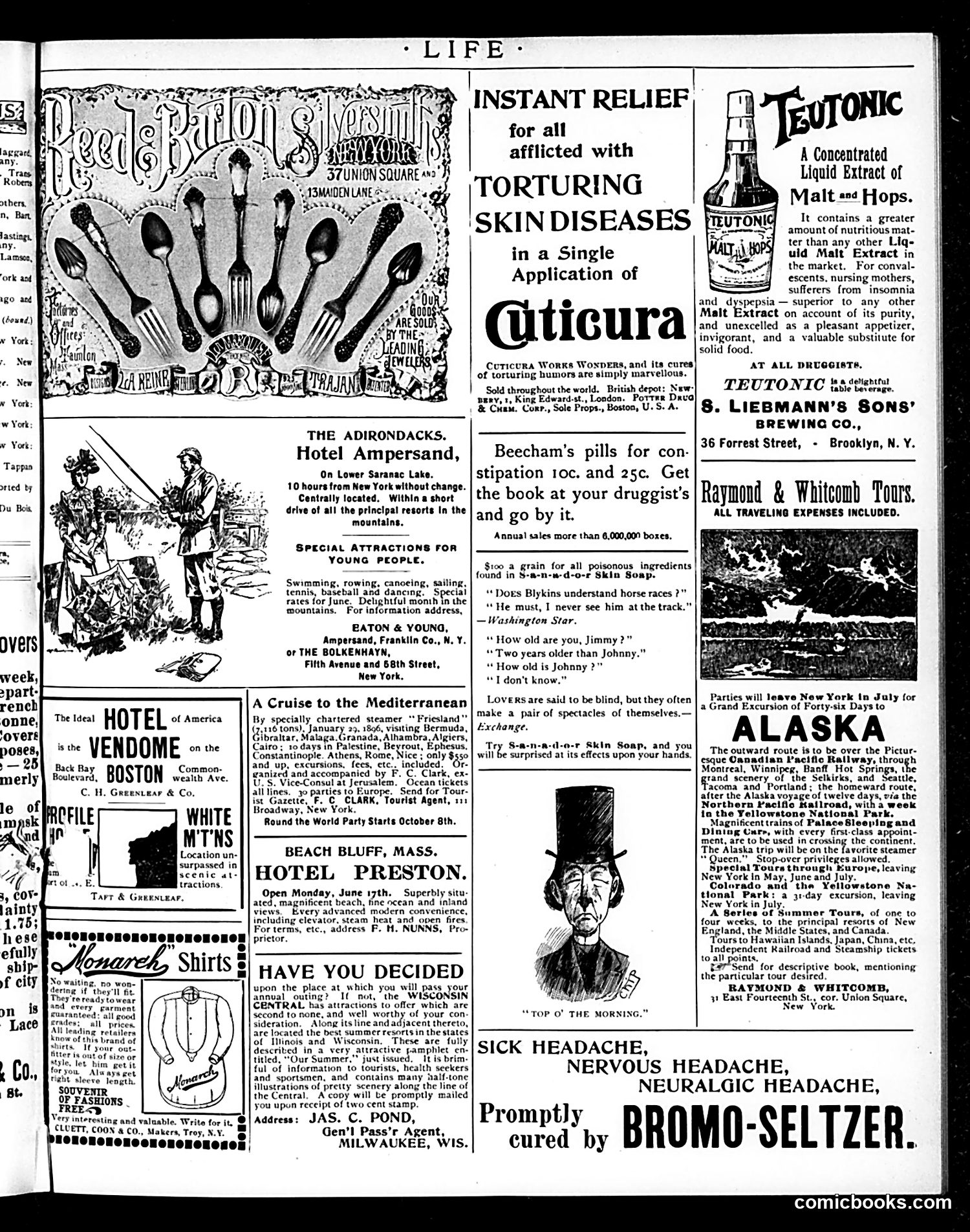 Life — June 6, 1895 — page 15 of 16