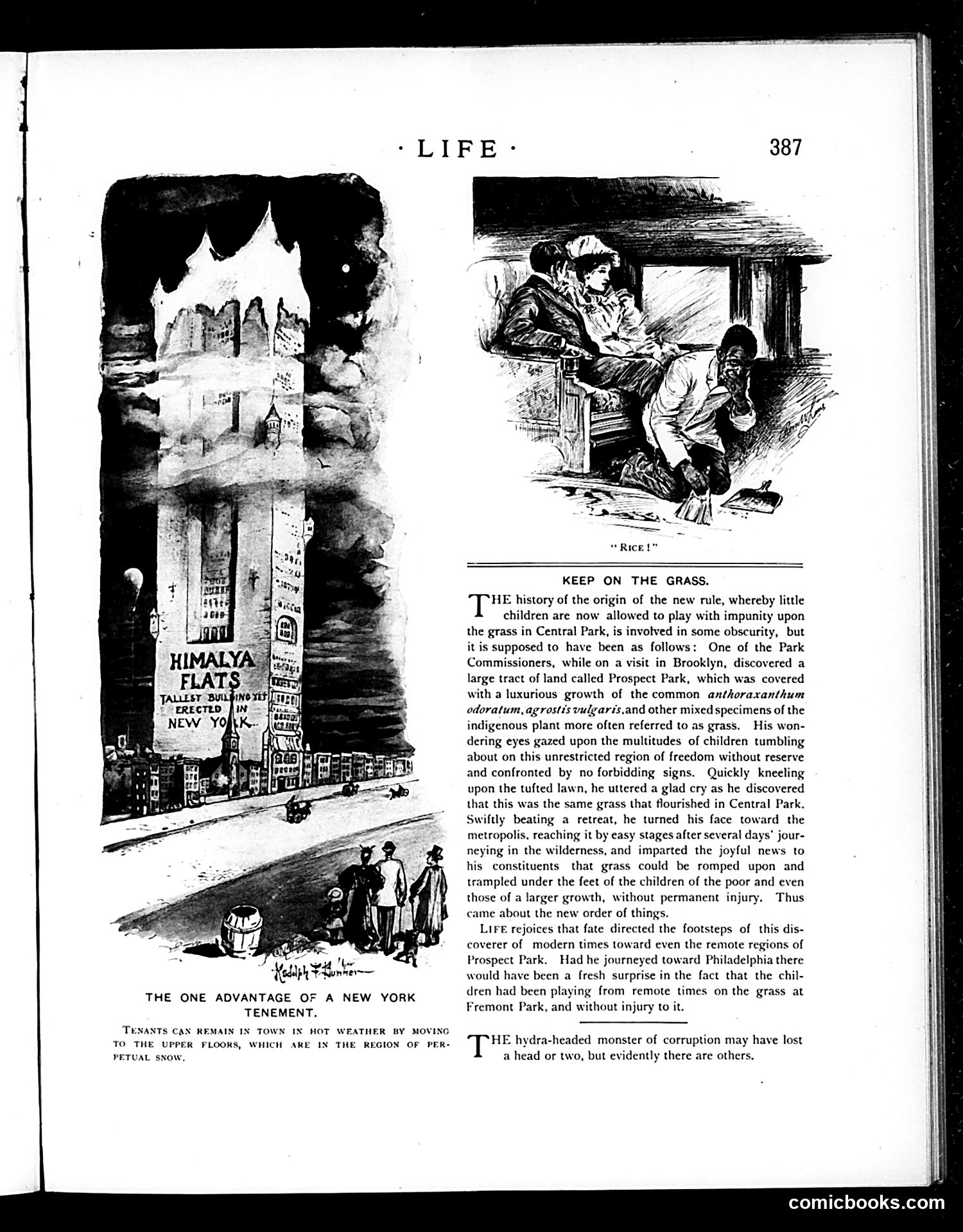 Life — June 13, 1895 — page 5 of 16