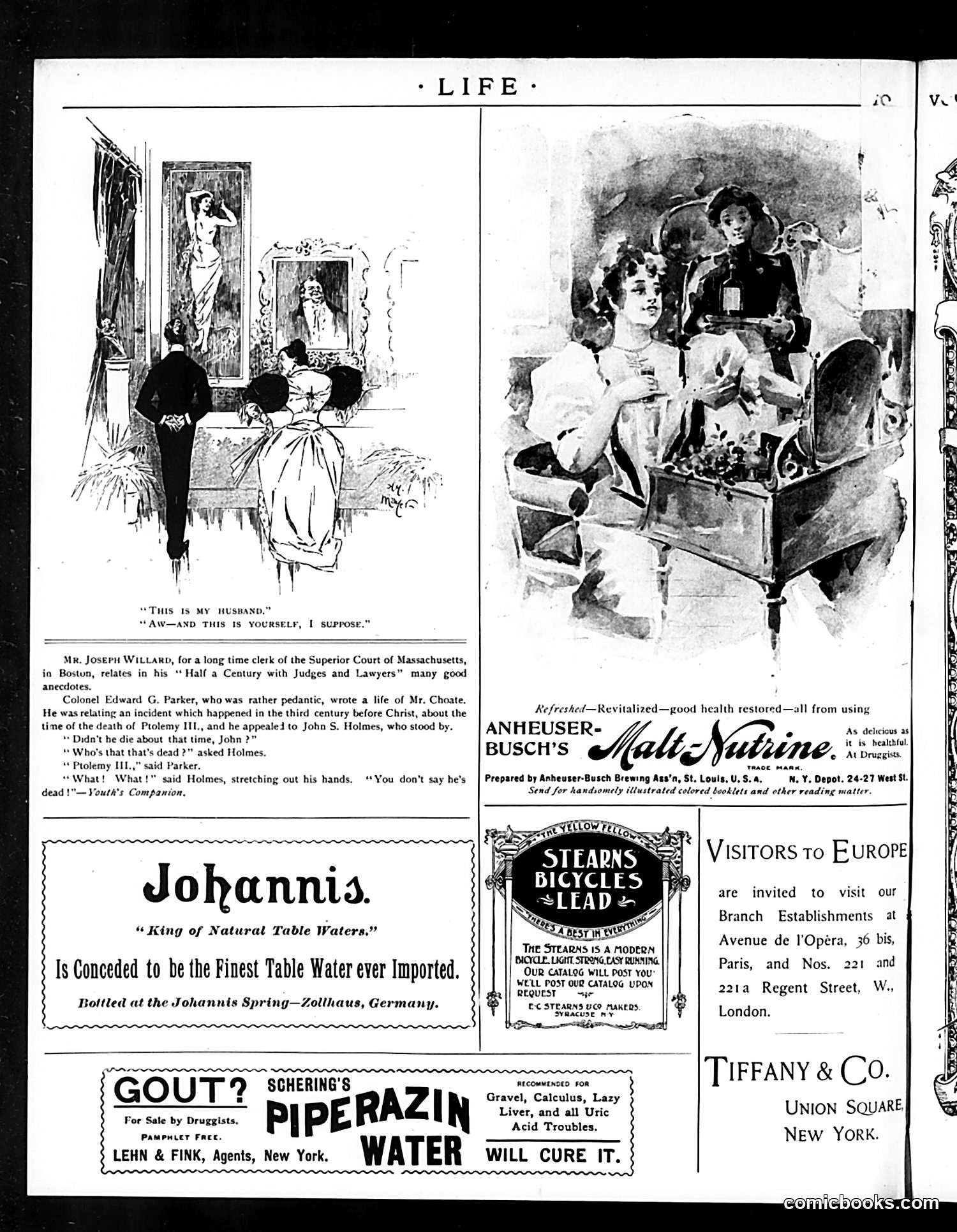 Life — June 13, 1895 — page 16 of 16